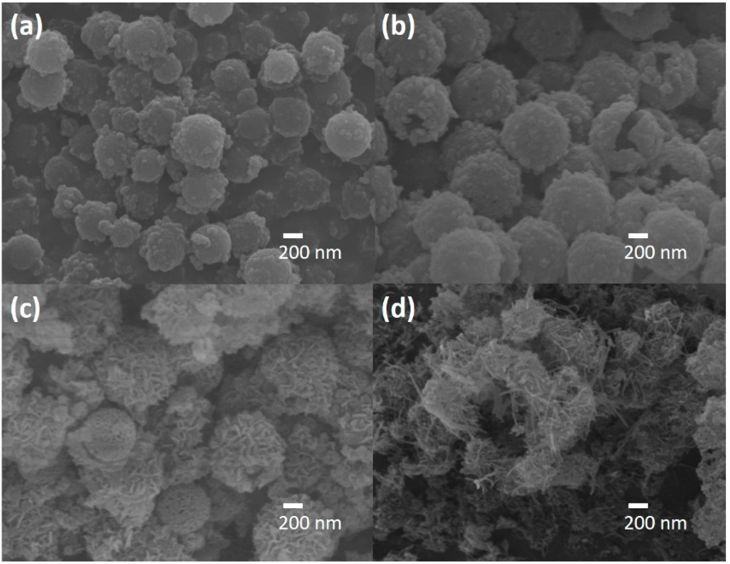 Catalysts 11 01532 g002