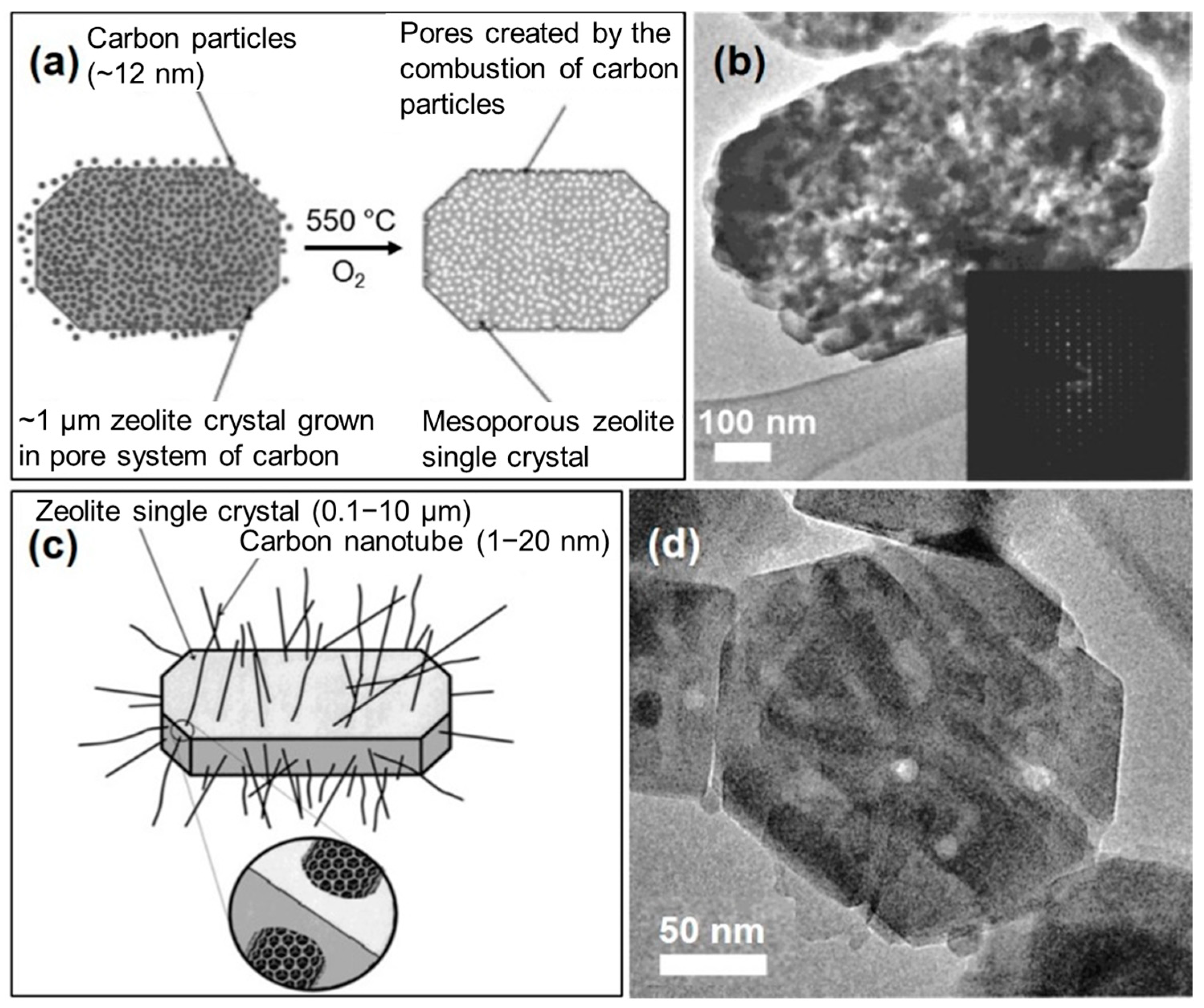 Catalysts 11 01541 g001 Catalysts 11 01541 g001