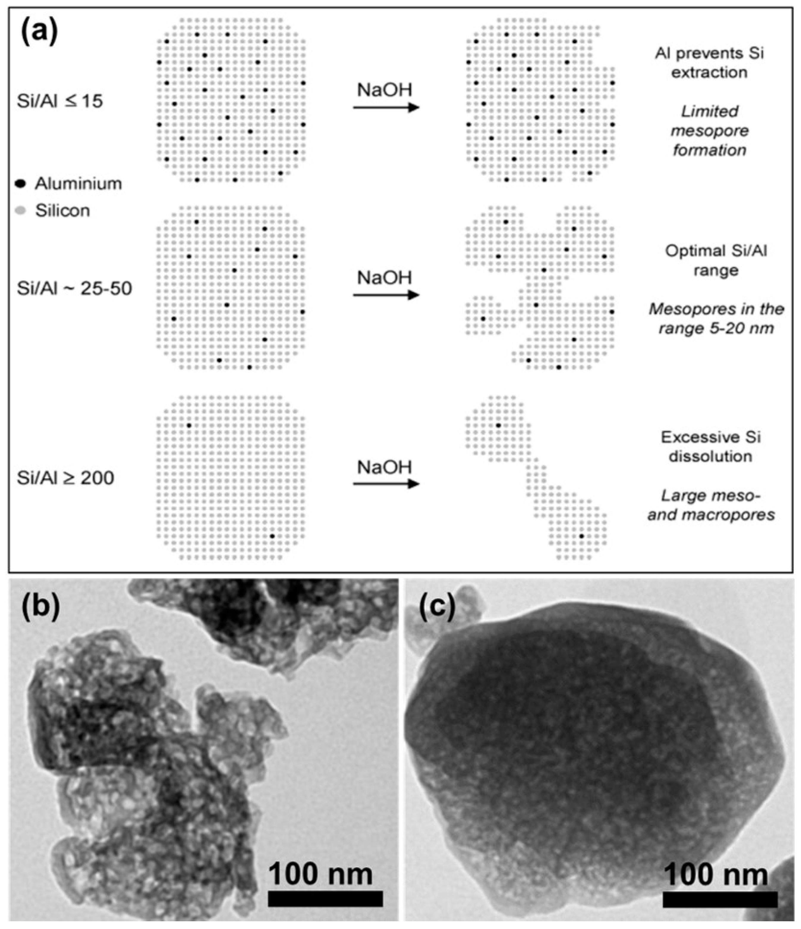 Catalysts 11 01541 g008 Catalysts 11 01541 g008