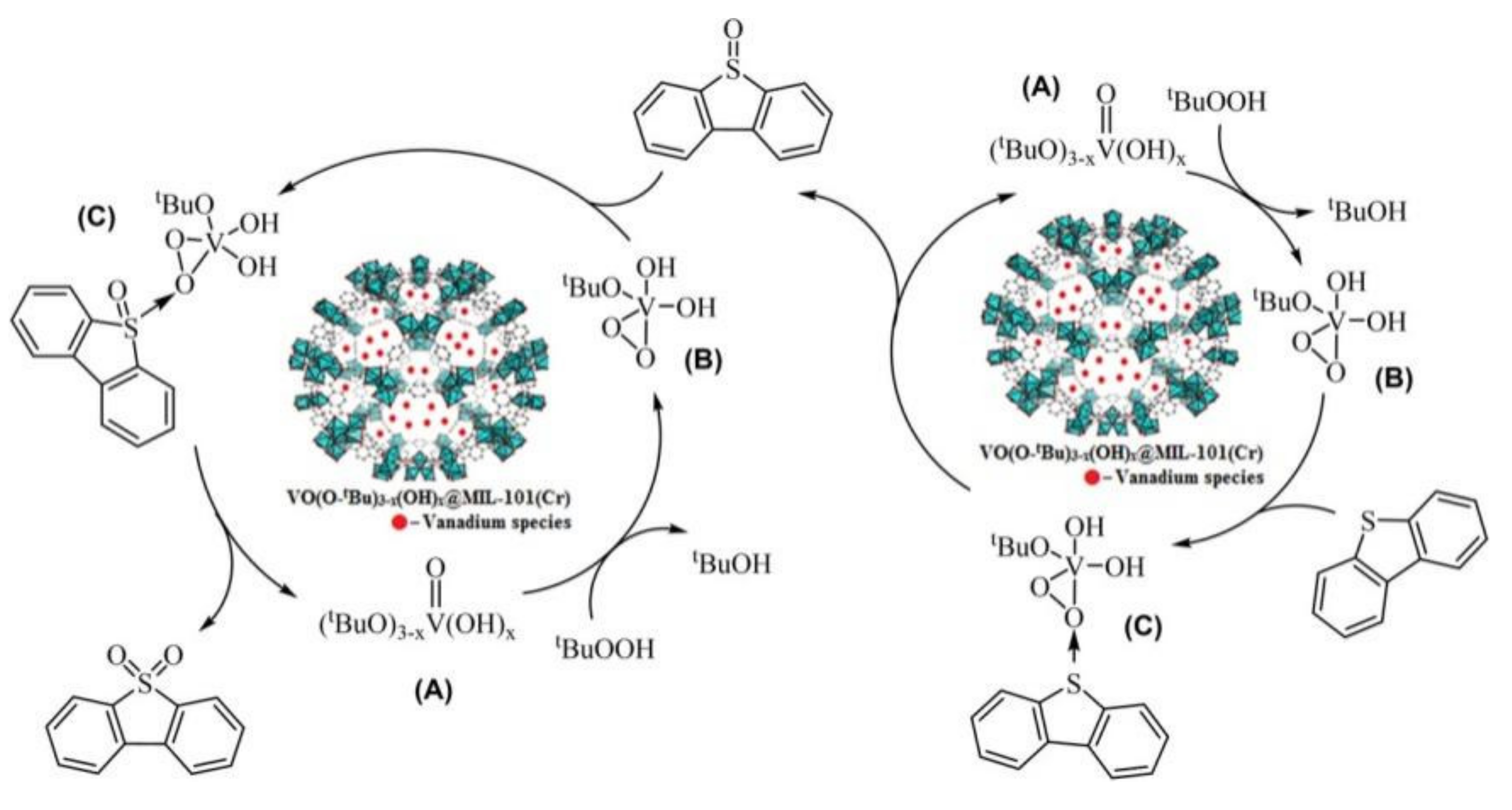 Catalysts 11 01557 g007