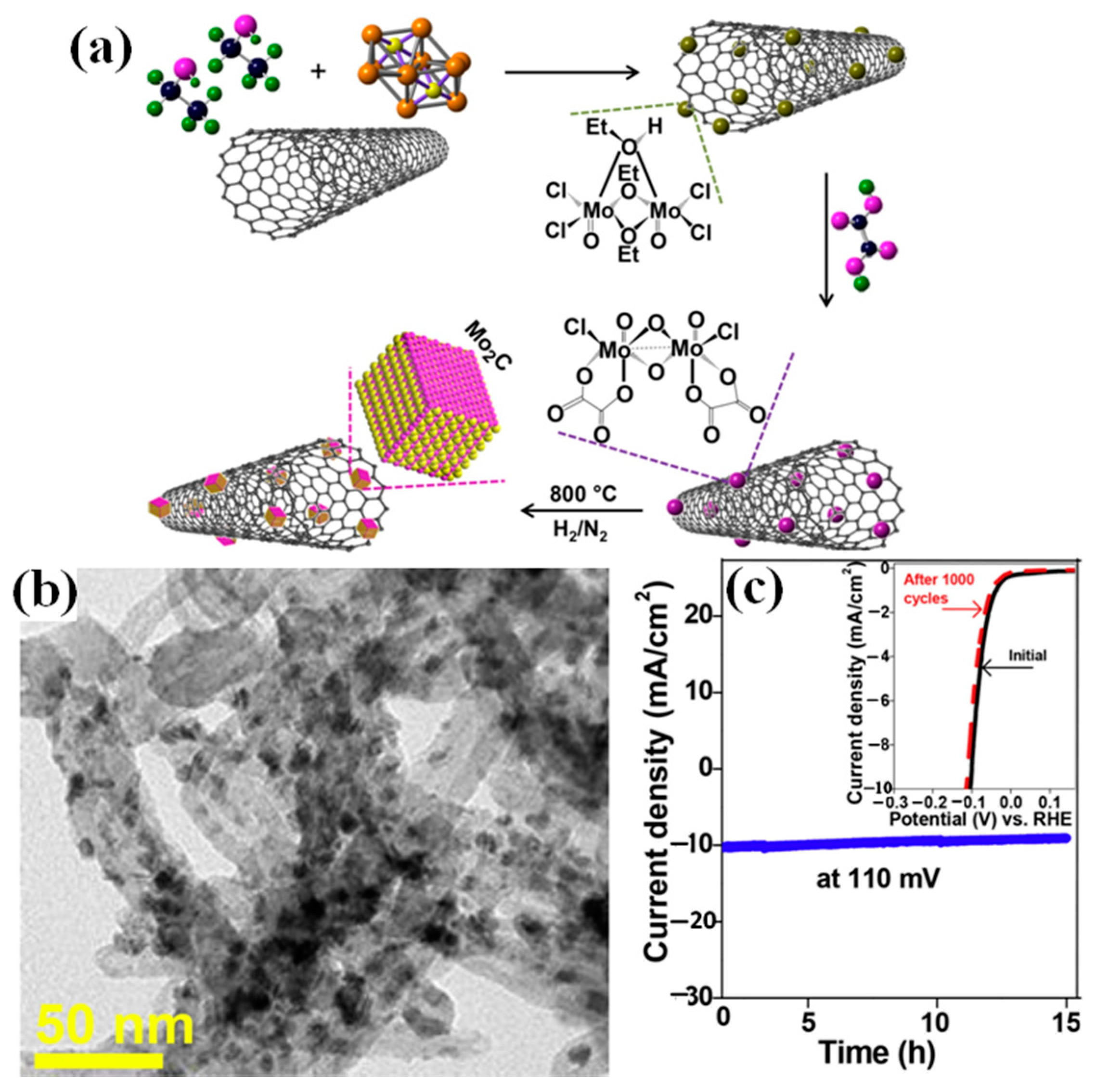 Catalysts 12 00002 g001