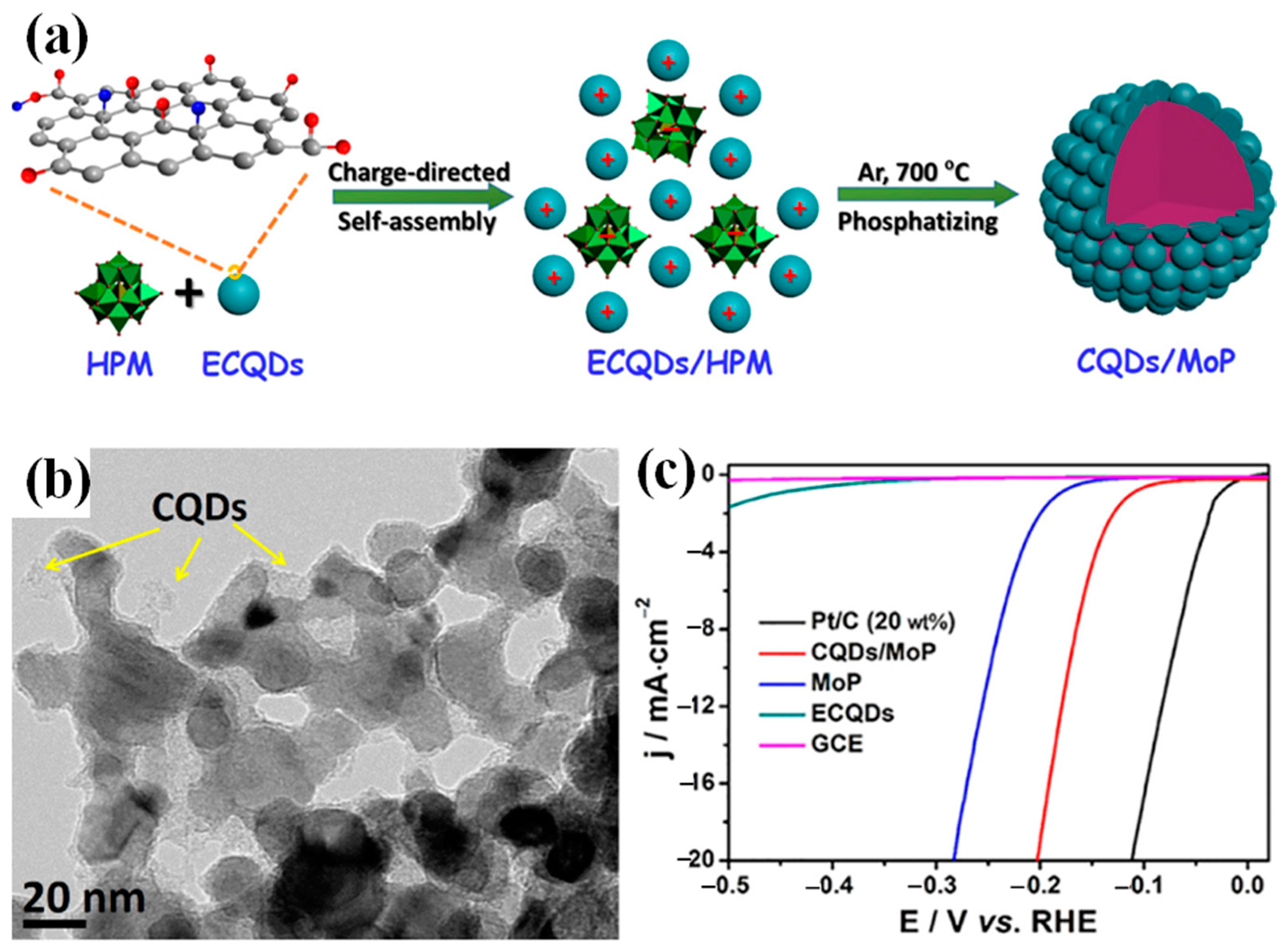 Catalysts 12 00002 g002