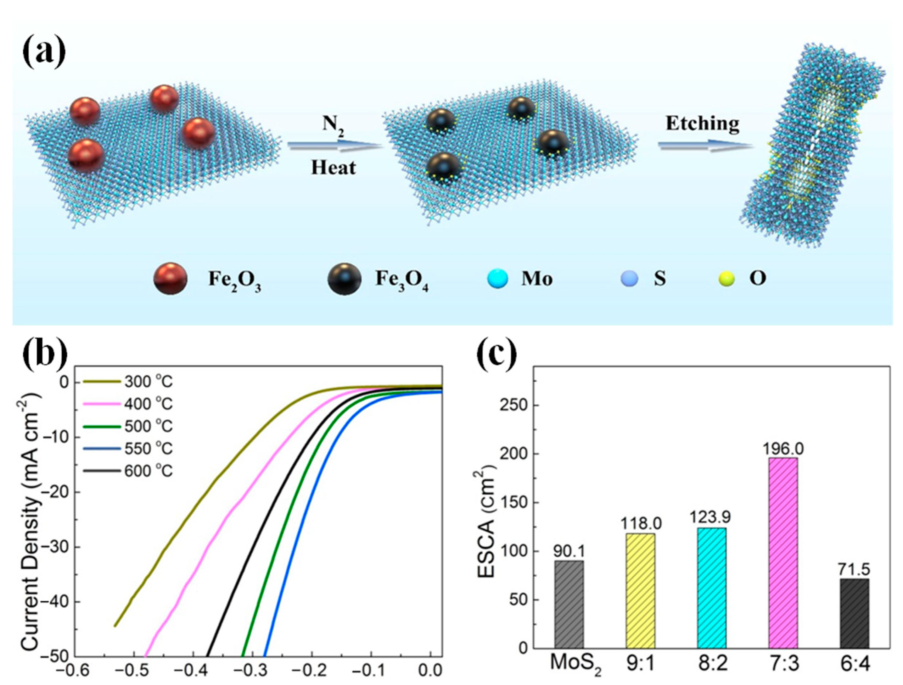 Catalysts 12 00002 g008