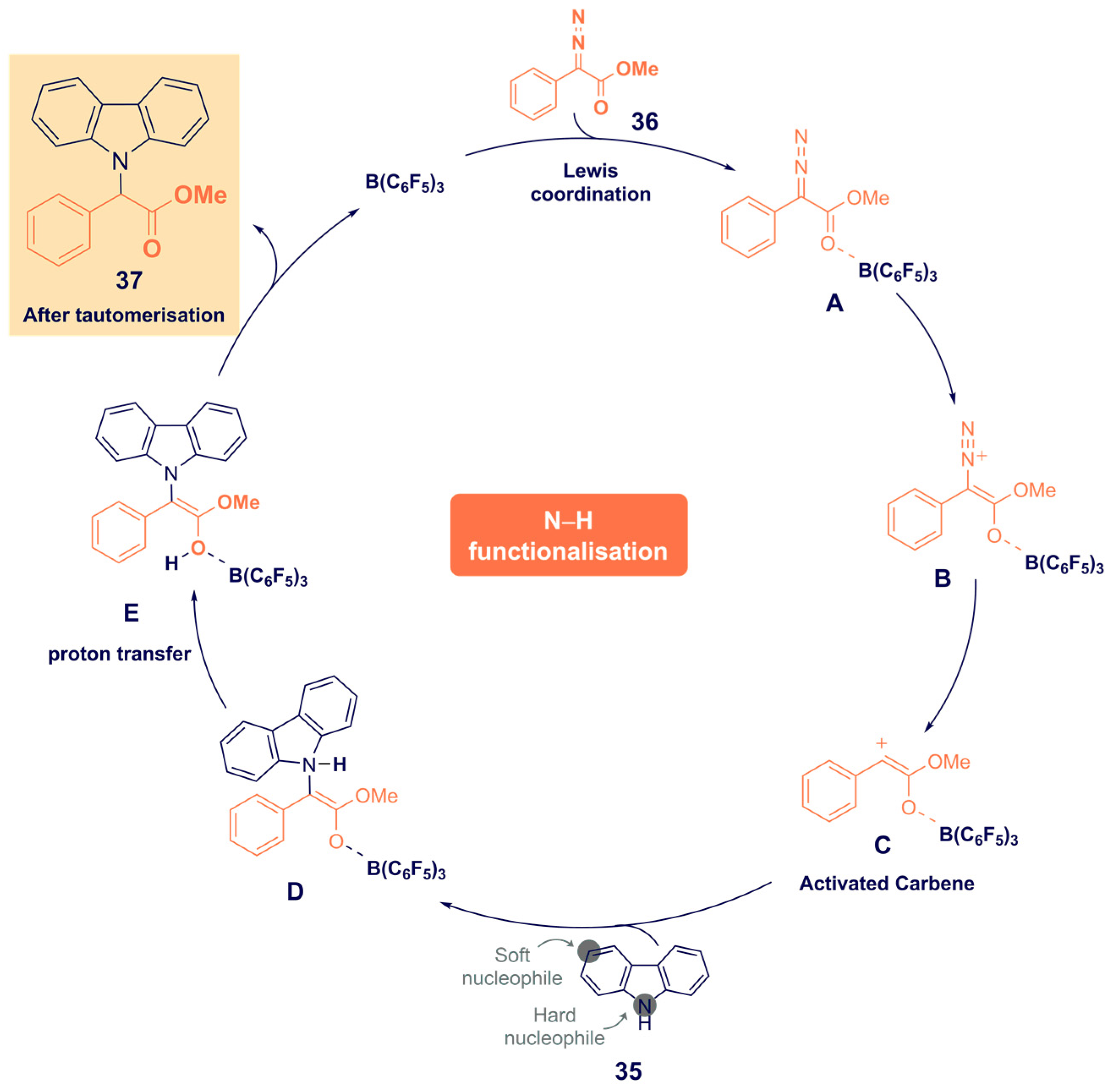 Catalysts 12 00005 sch012