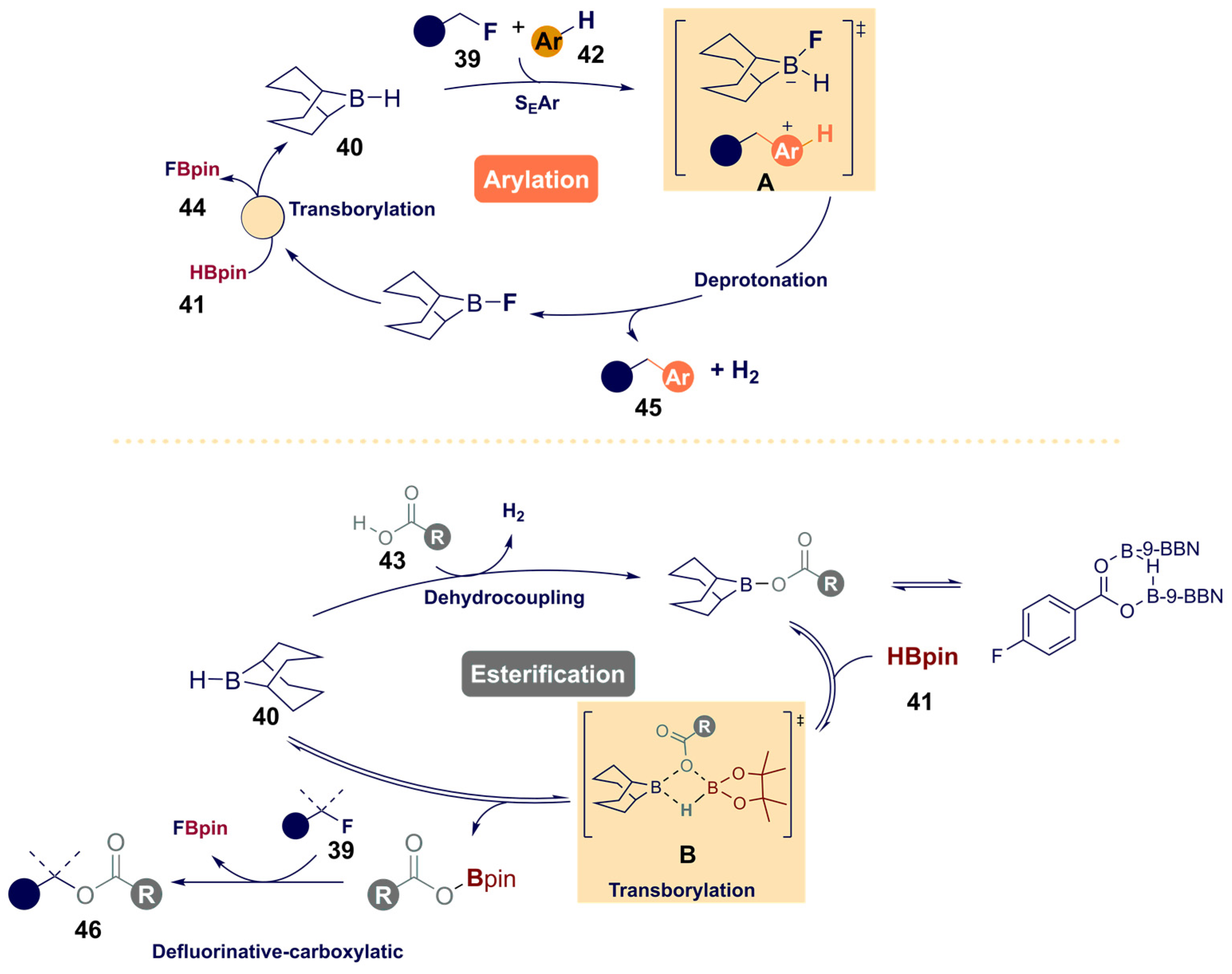 Catalysts 12 00005 sch014