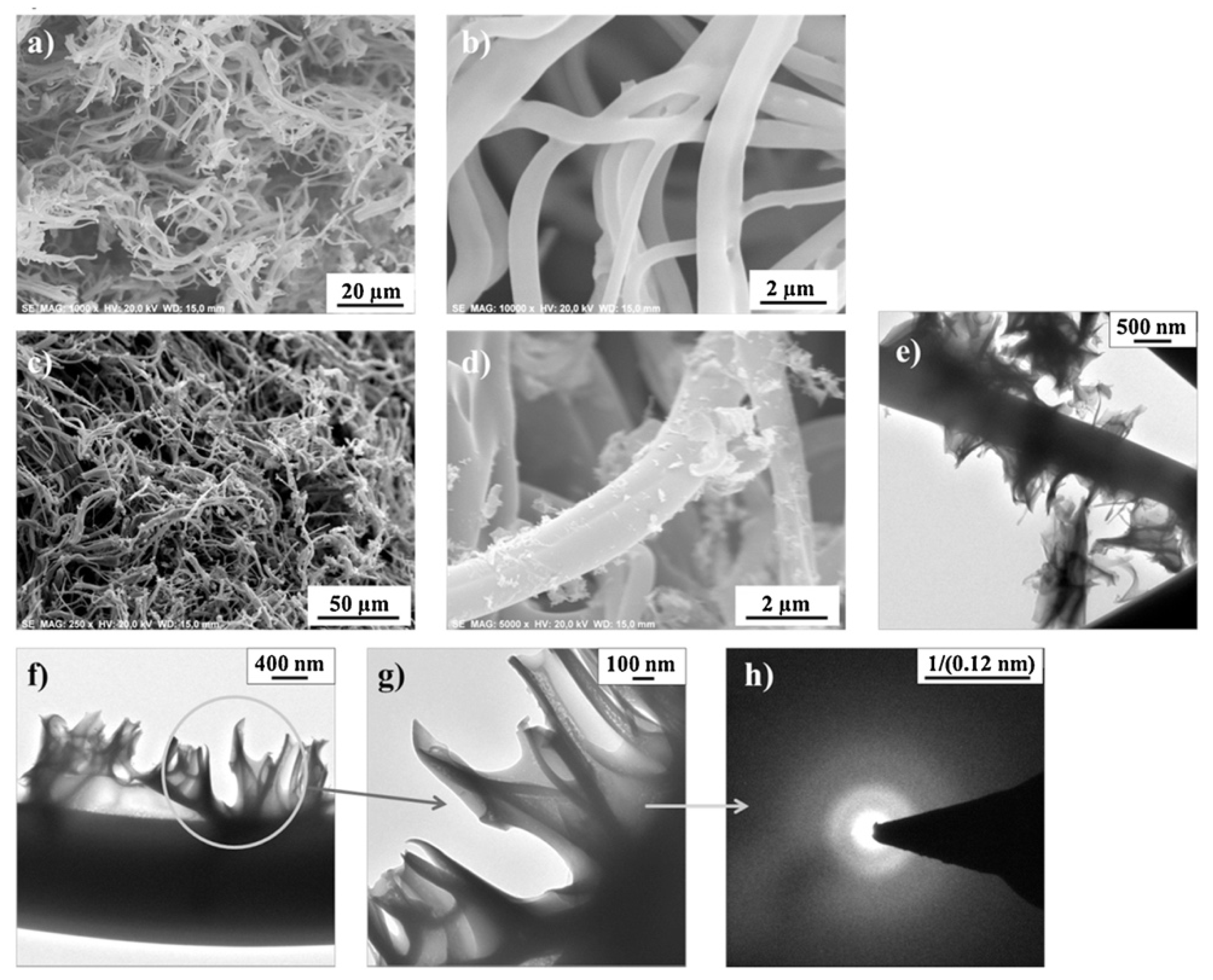 Catalysts 12 00009 g002