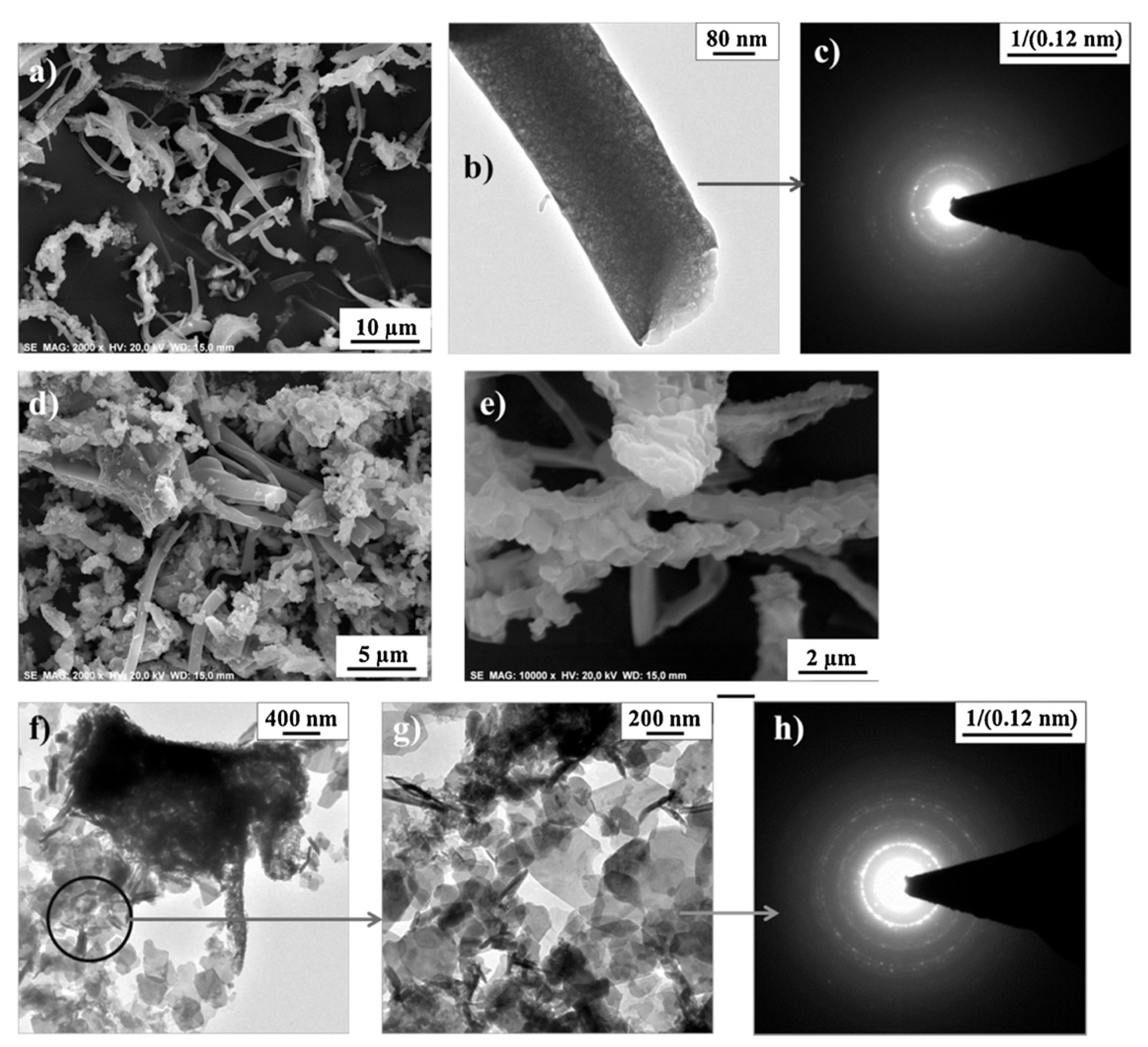 Catalysts 12 00009 g003