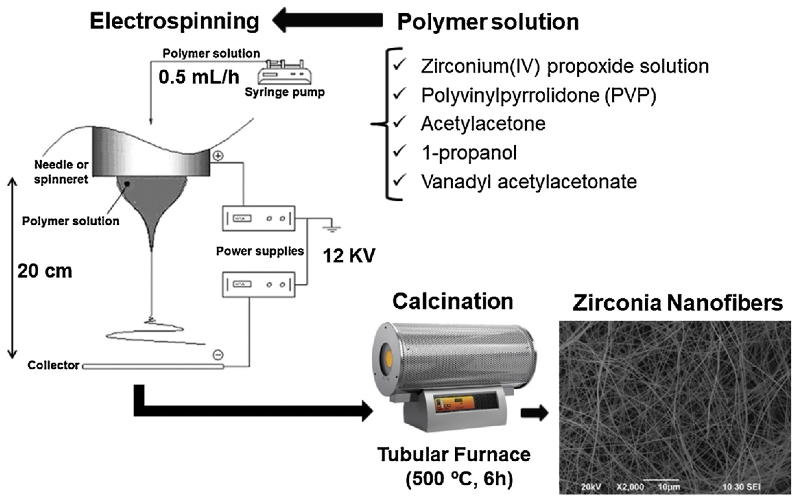 Catalysts 12 00009 g004