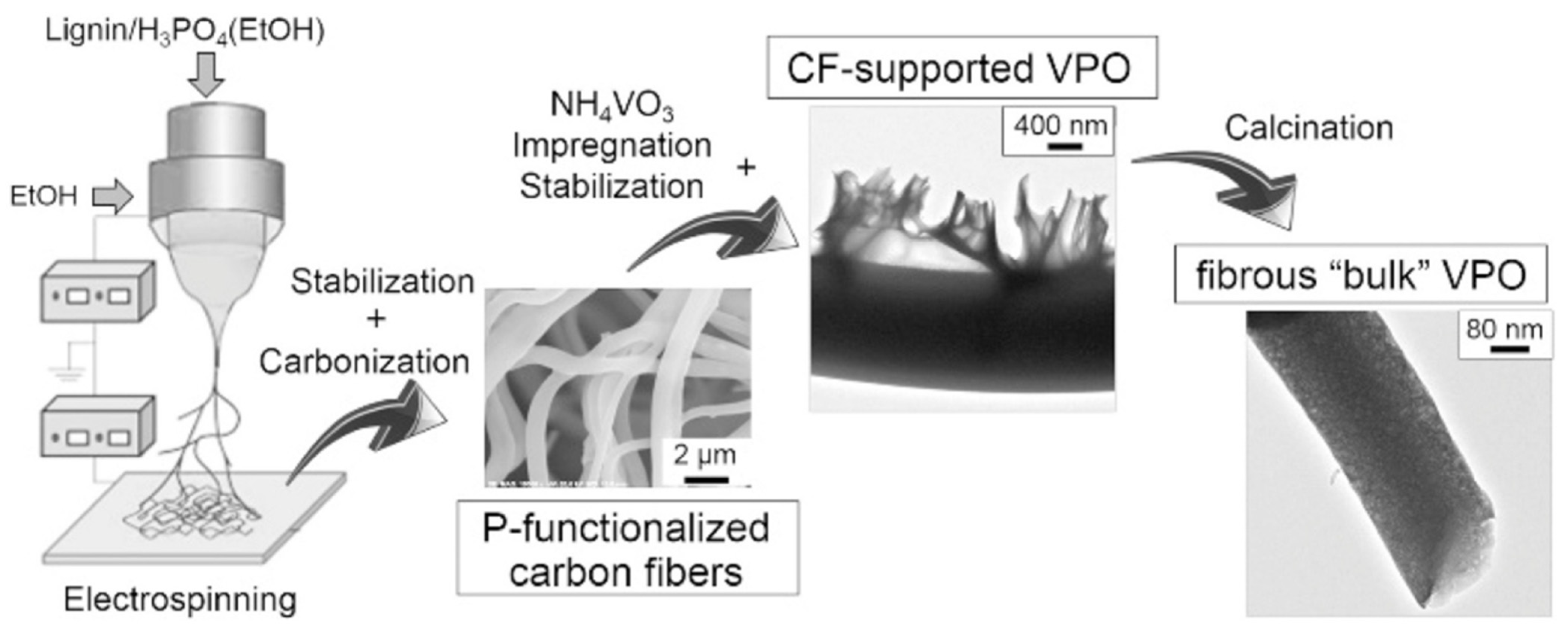 Catalysts 12 00009 sch001