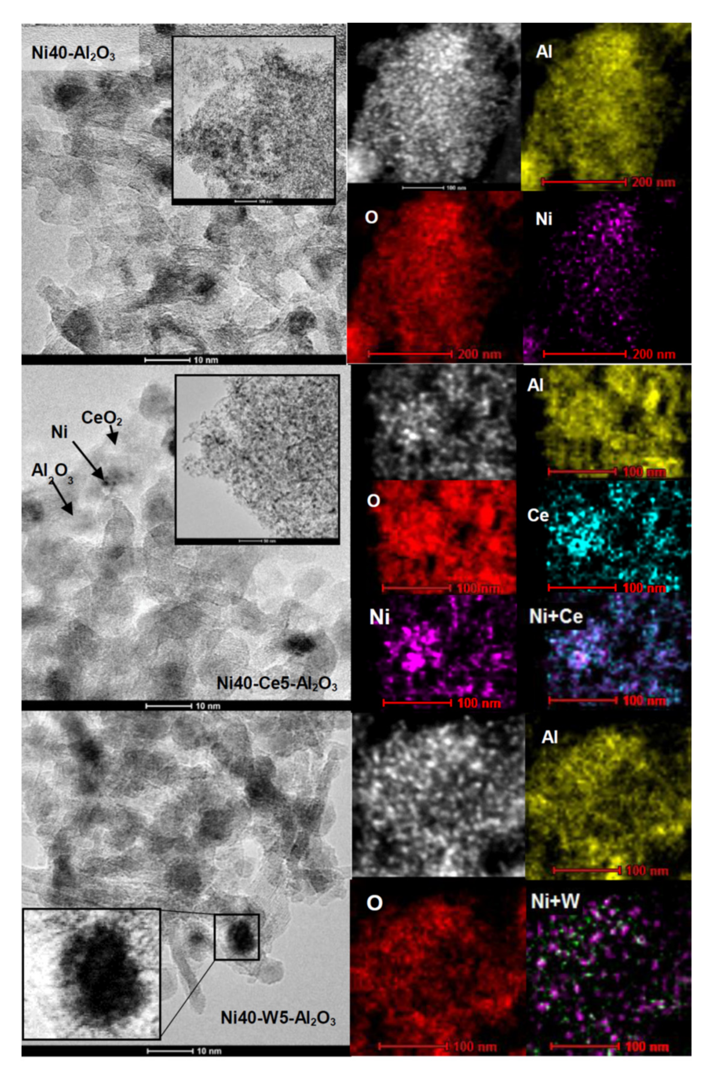Catalysts 12 00013 g005