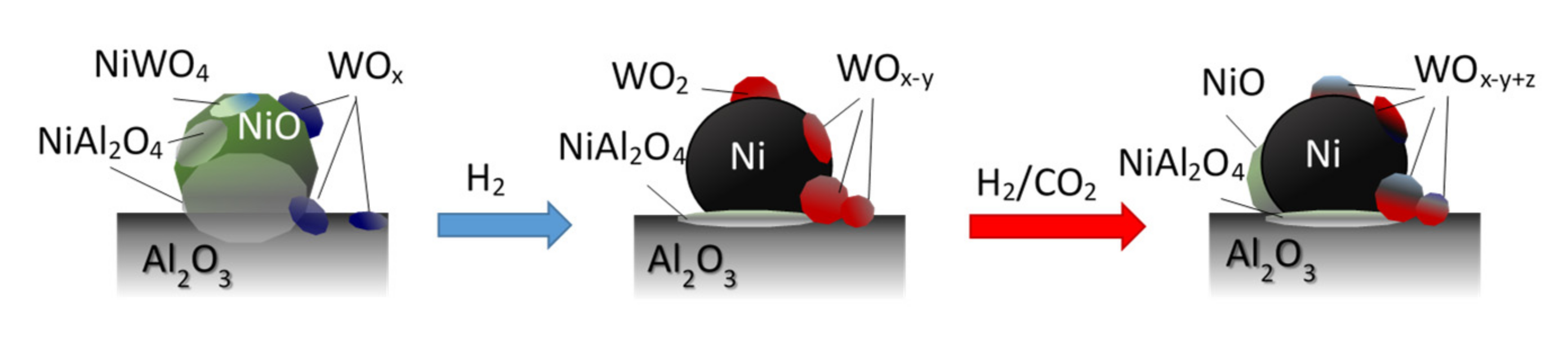 Catalysts 12 00013 g011