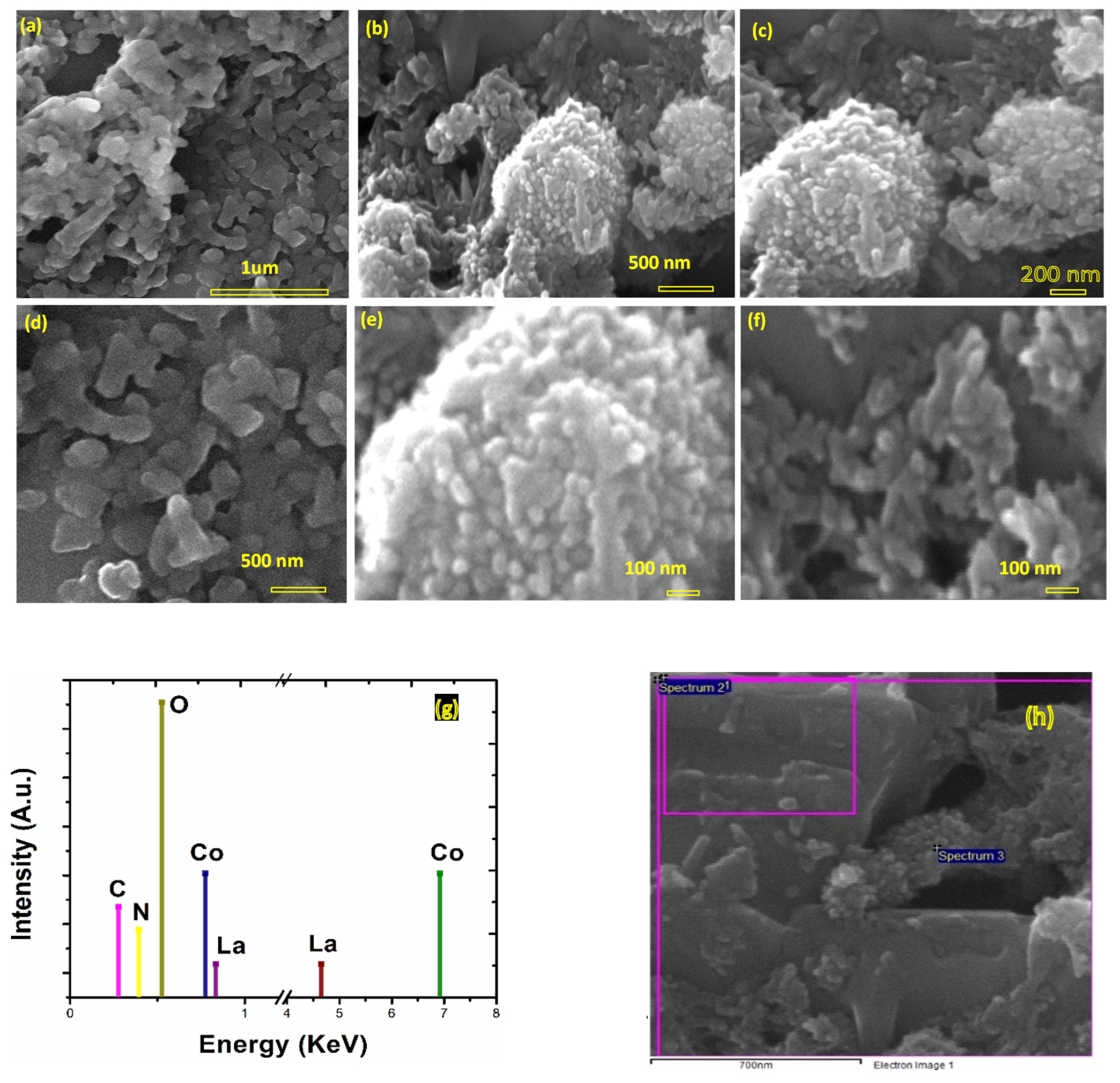 Catalysts 12 00015 g002