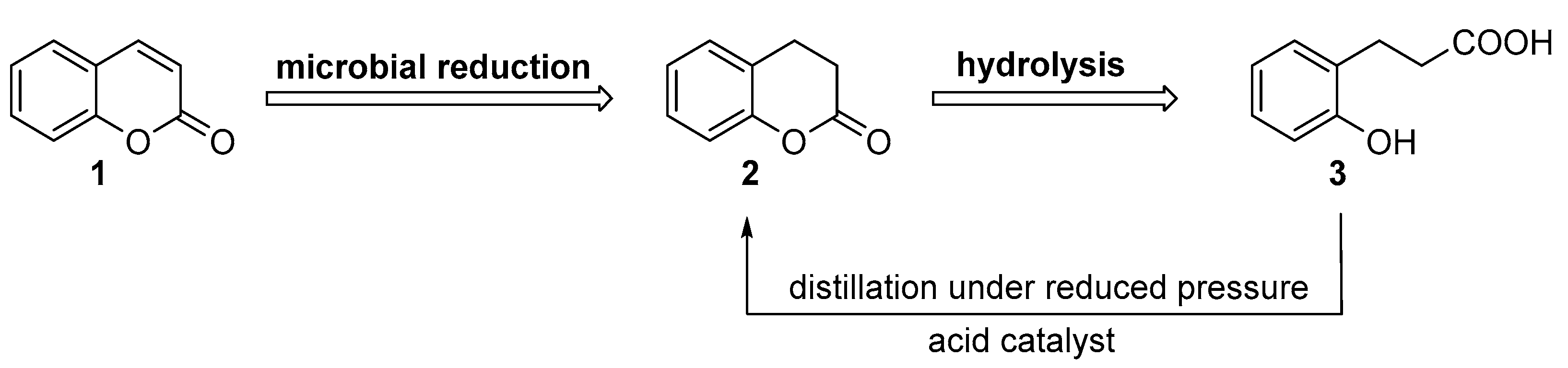 Catalysts 12 00028 g002