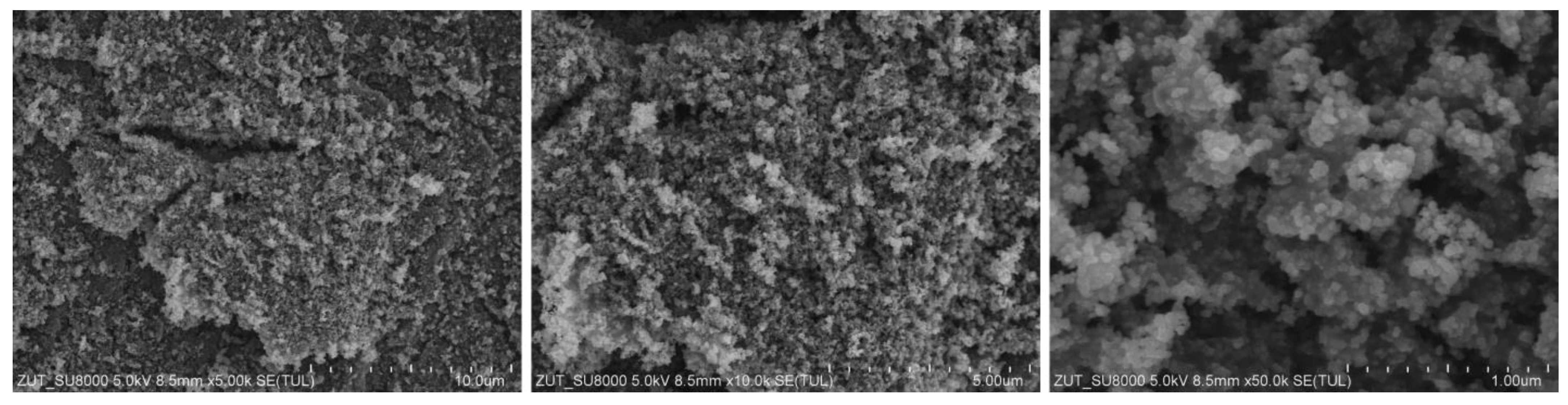 Catalysts 12 00031 g004