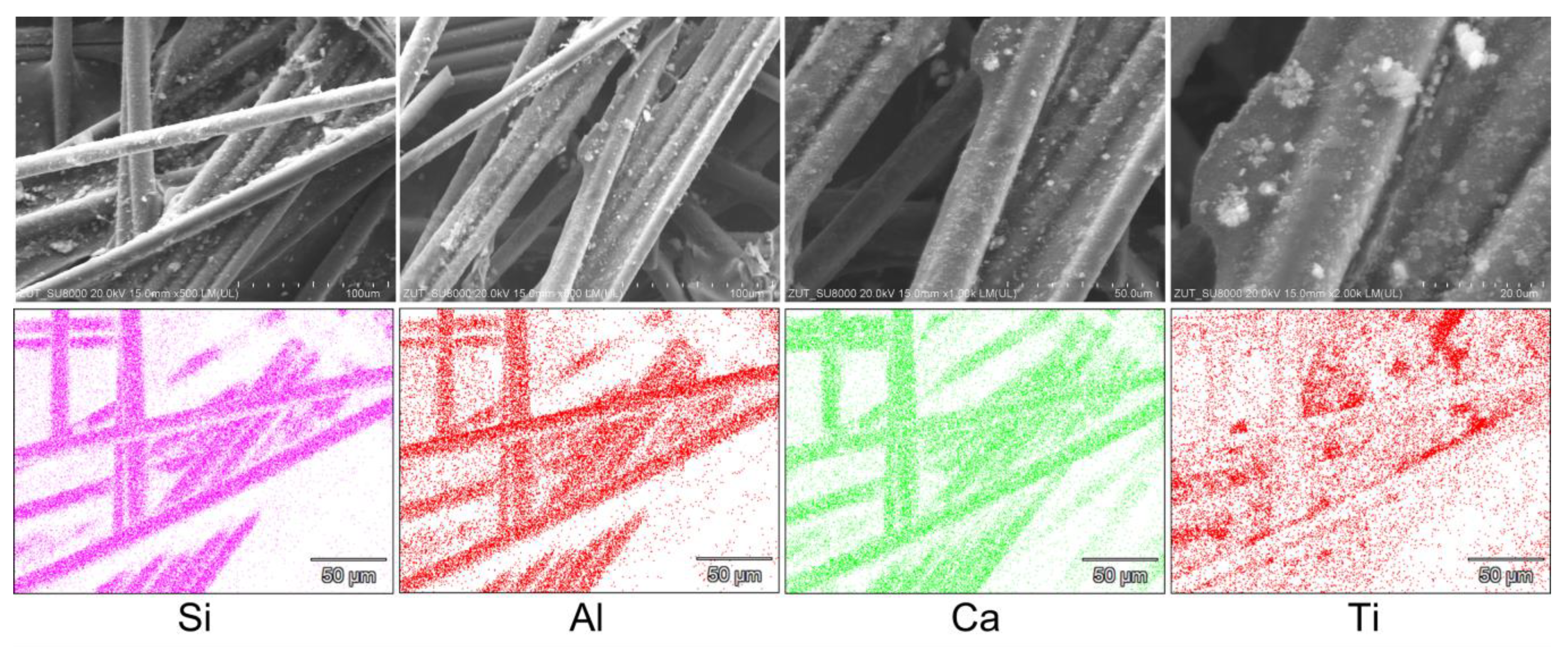Catalysts 12 00031 g006