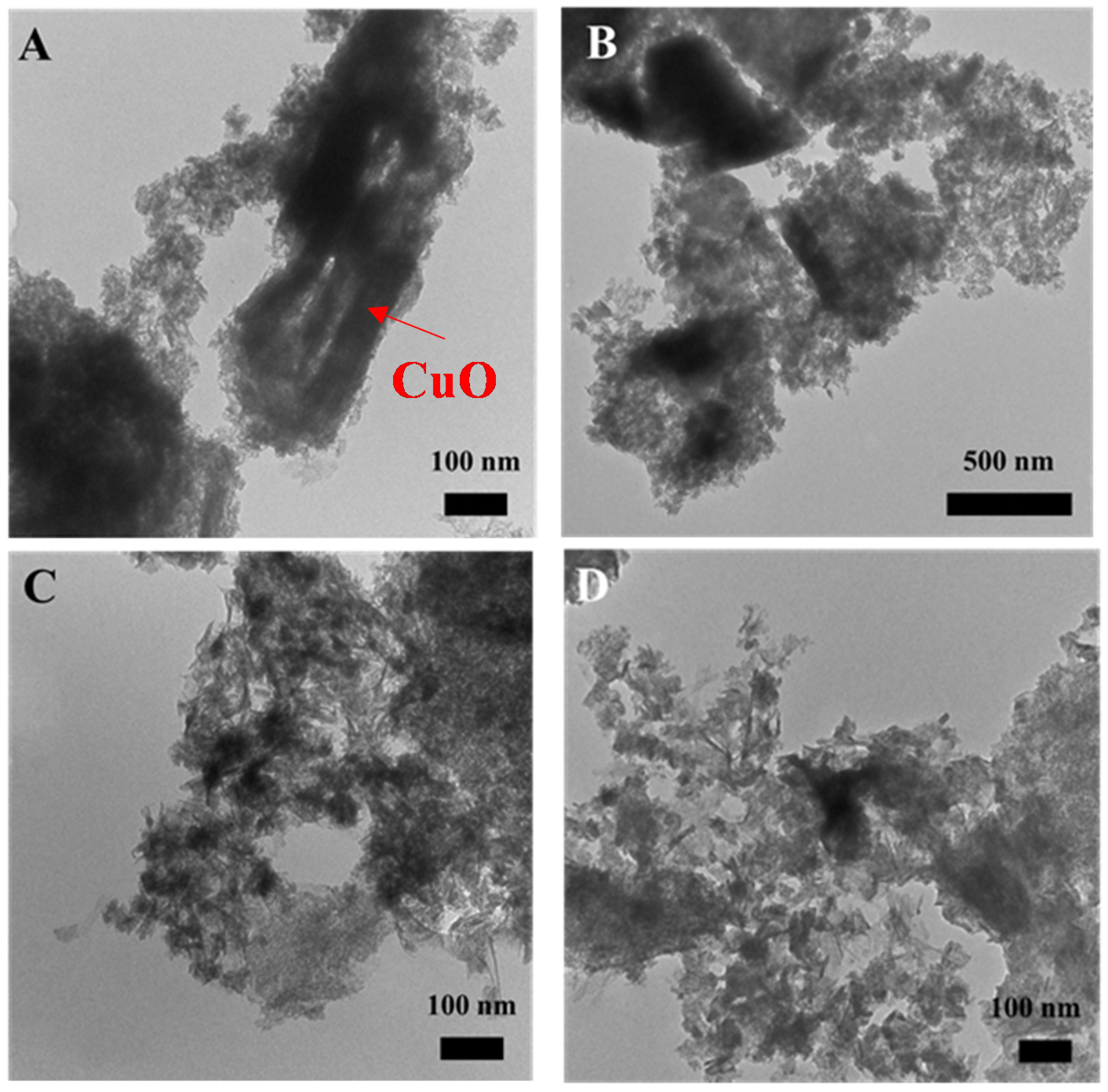 Catalysts 12 00032 g004