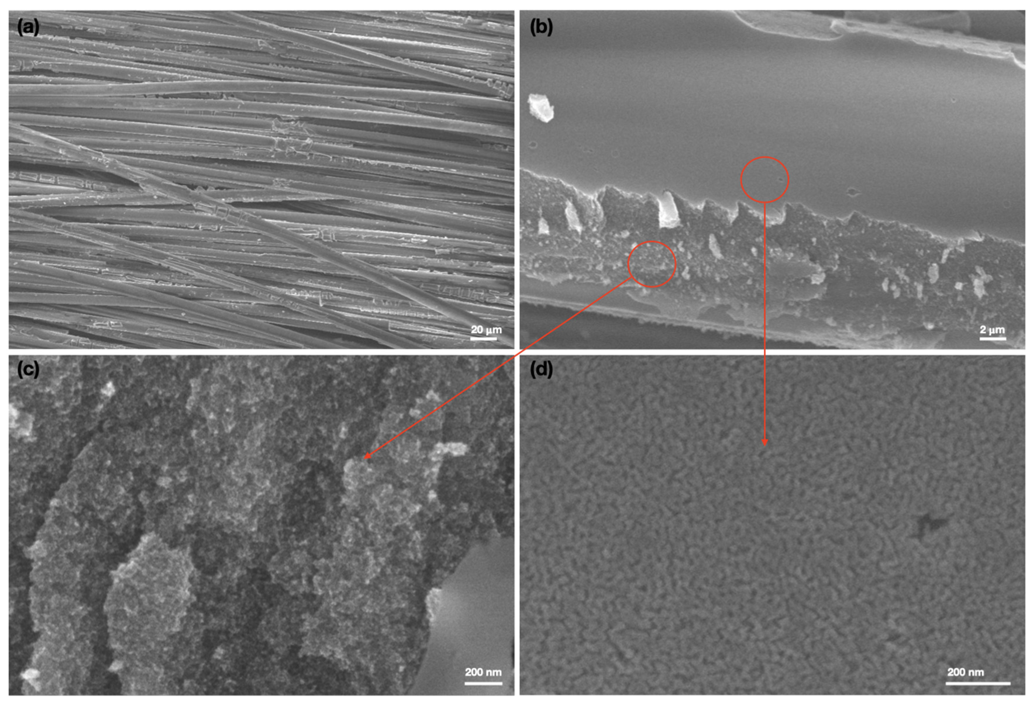 Catalysts 12 00041 g004