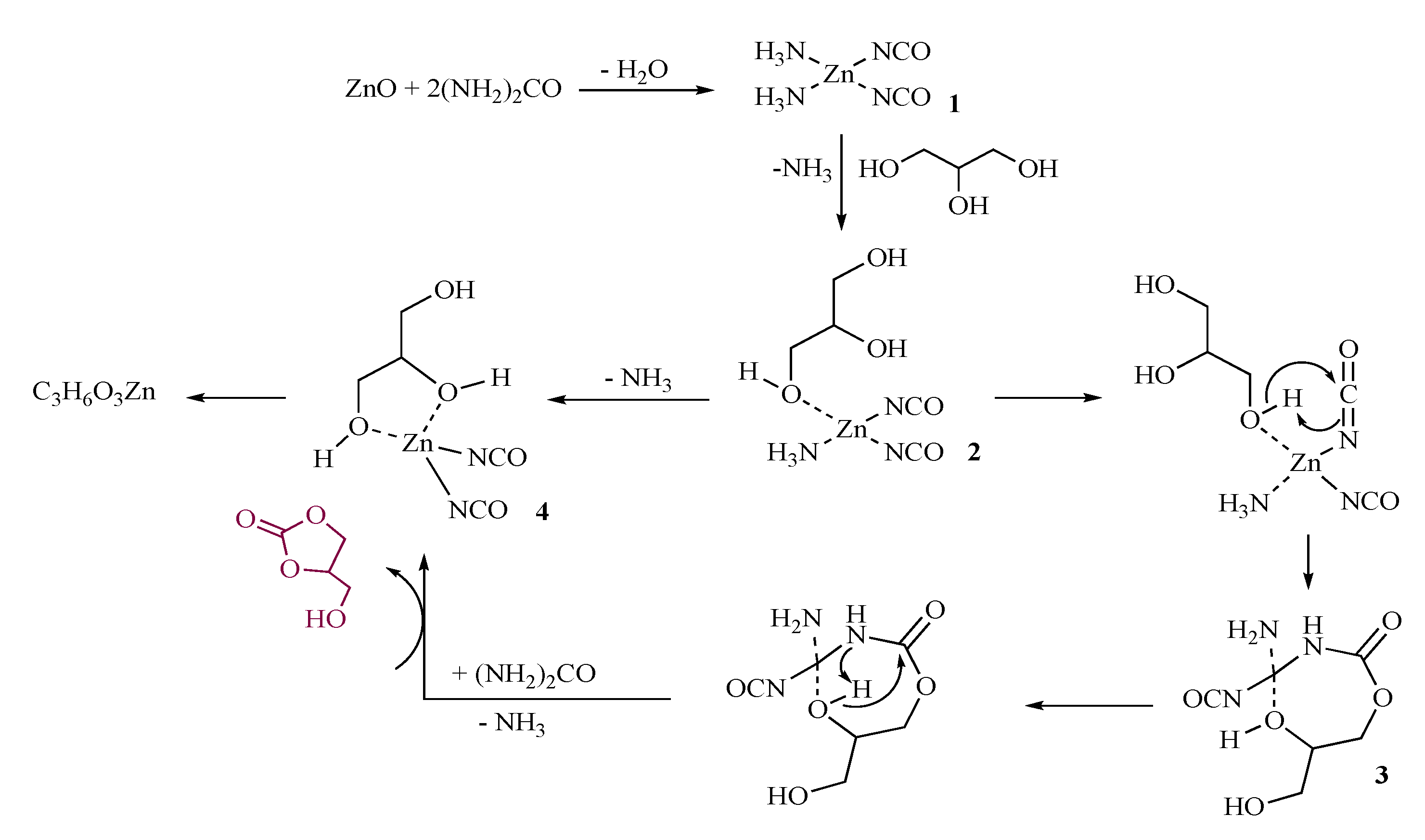 Catalysts 12 00050 sch002