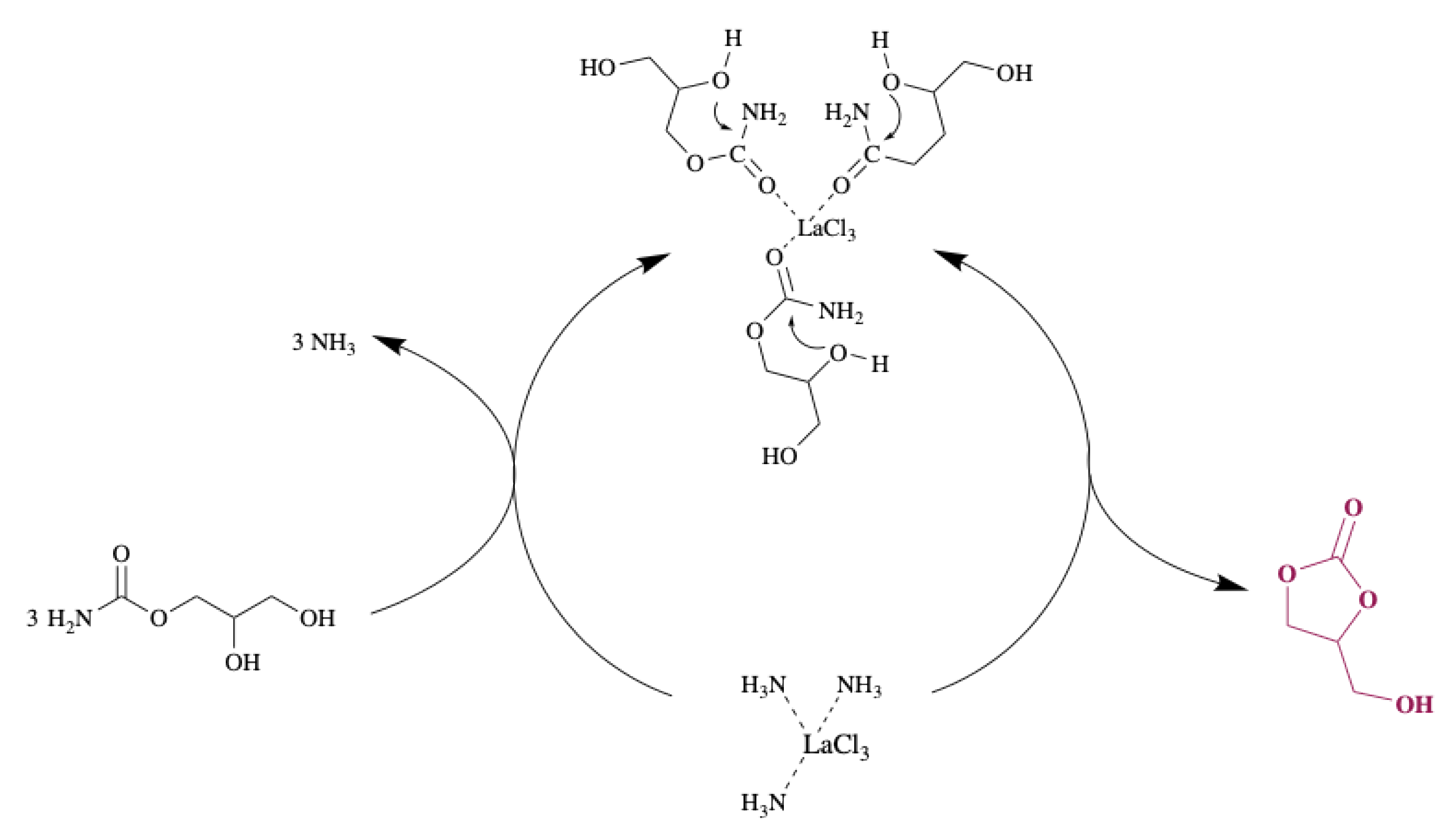 Catalysts 12 00050 sch003