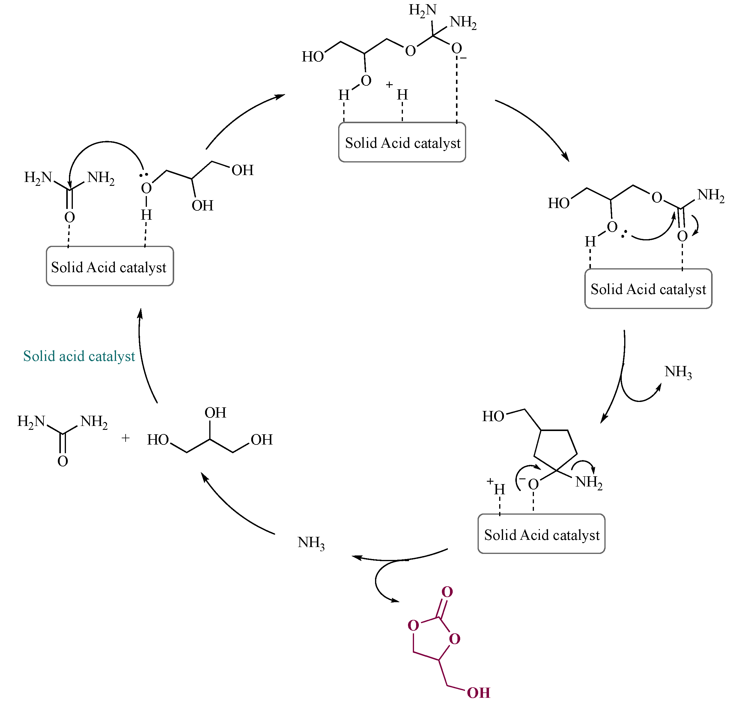 Catalysts 12 00050 sch005