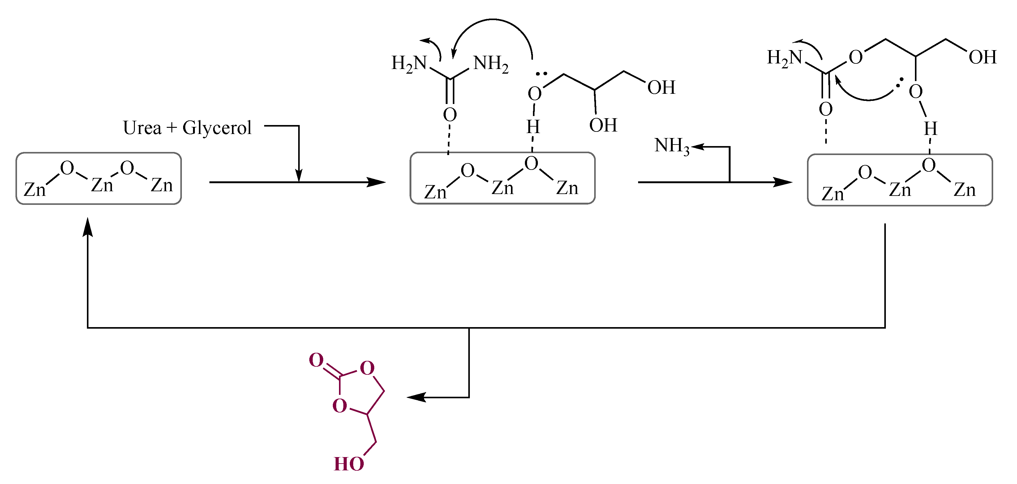 Catalysts 12 00050 sch006