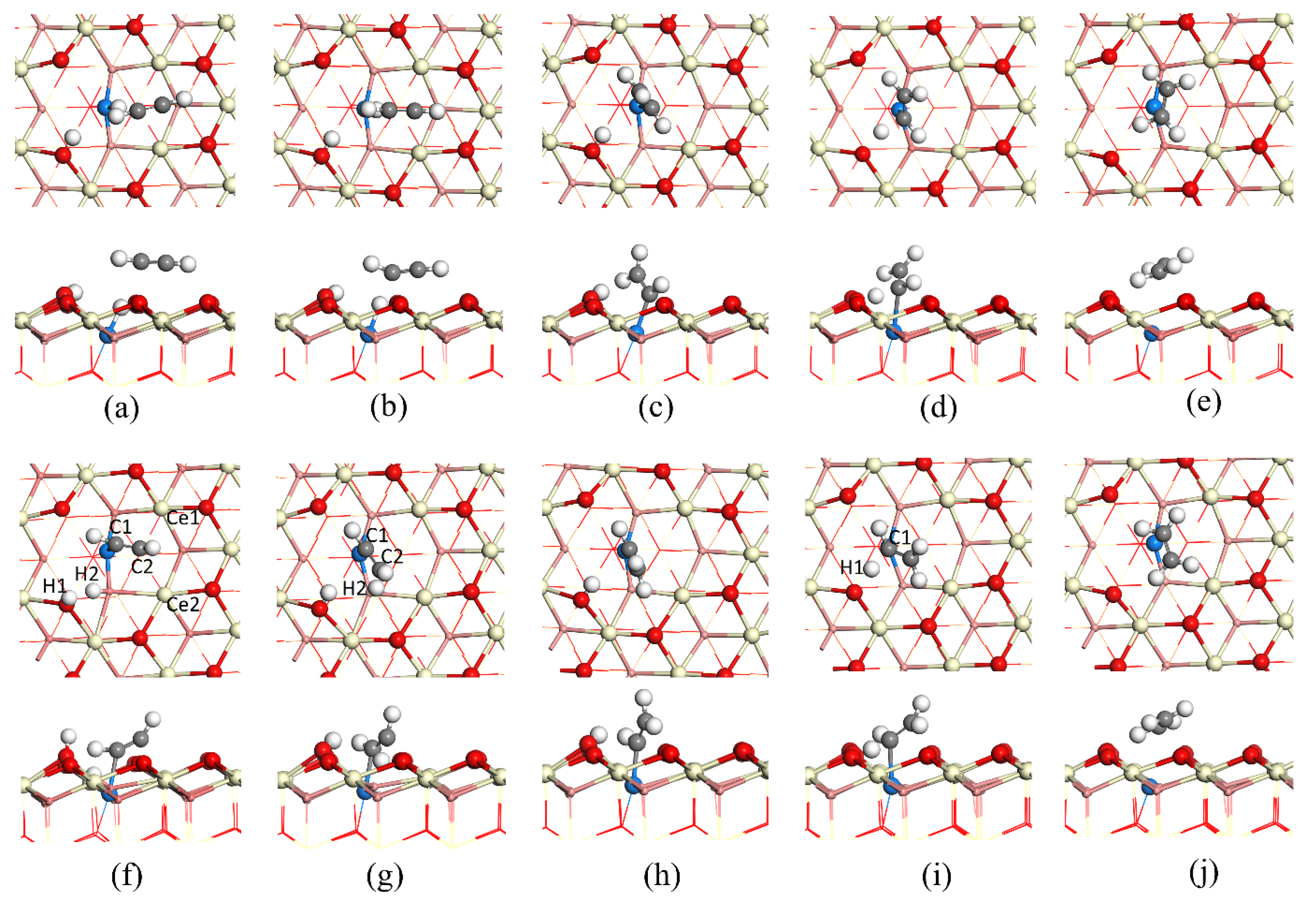 Catalysts 12 00074 g004