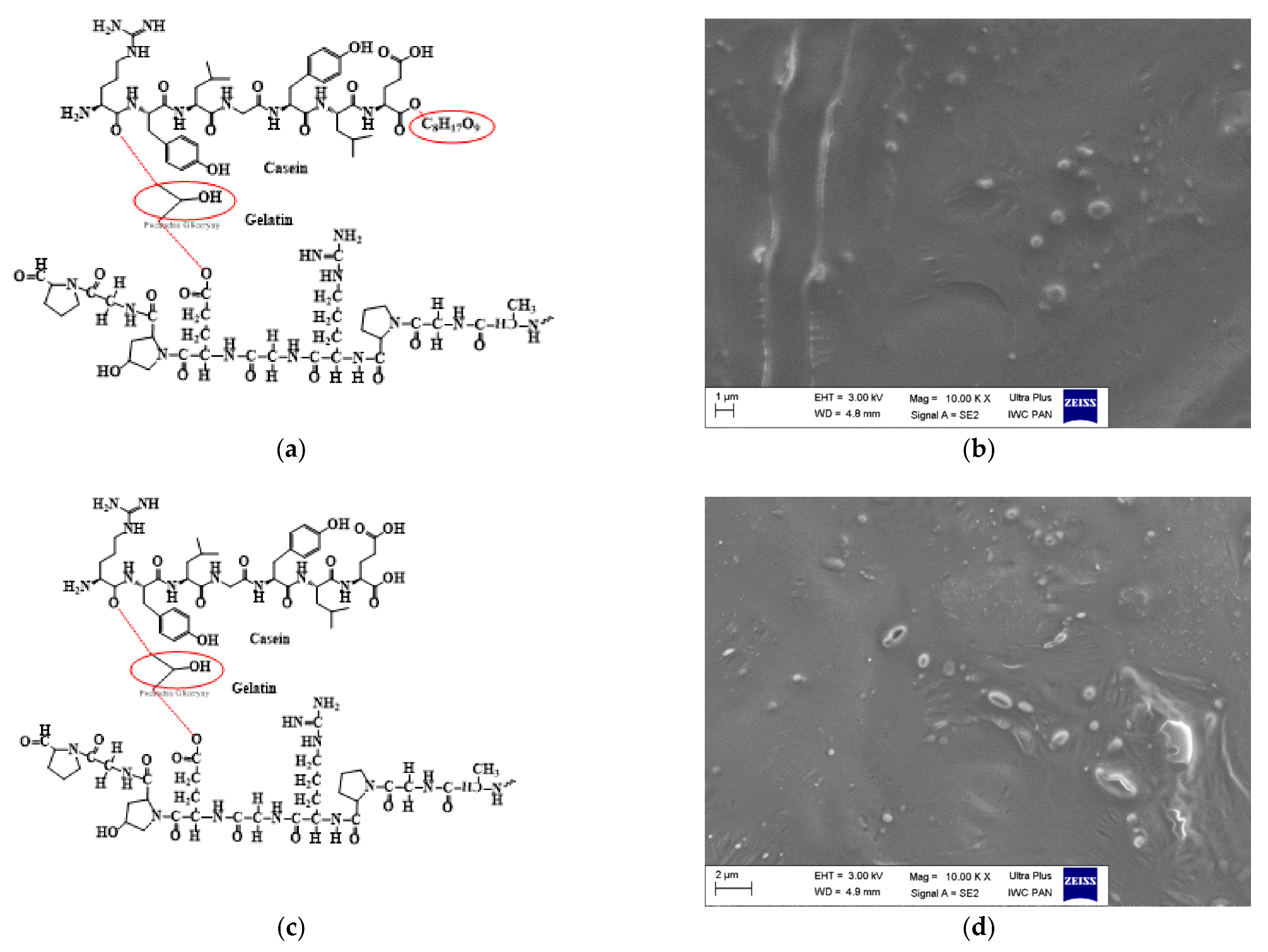 Catalysts 12 00077 g004a
