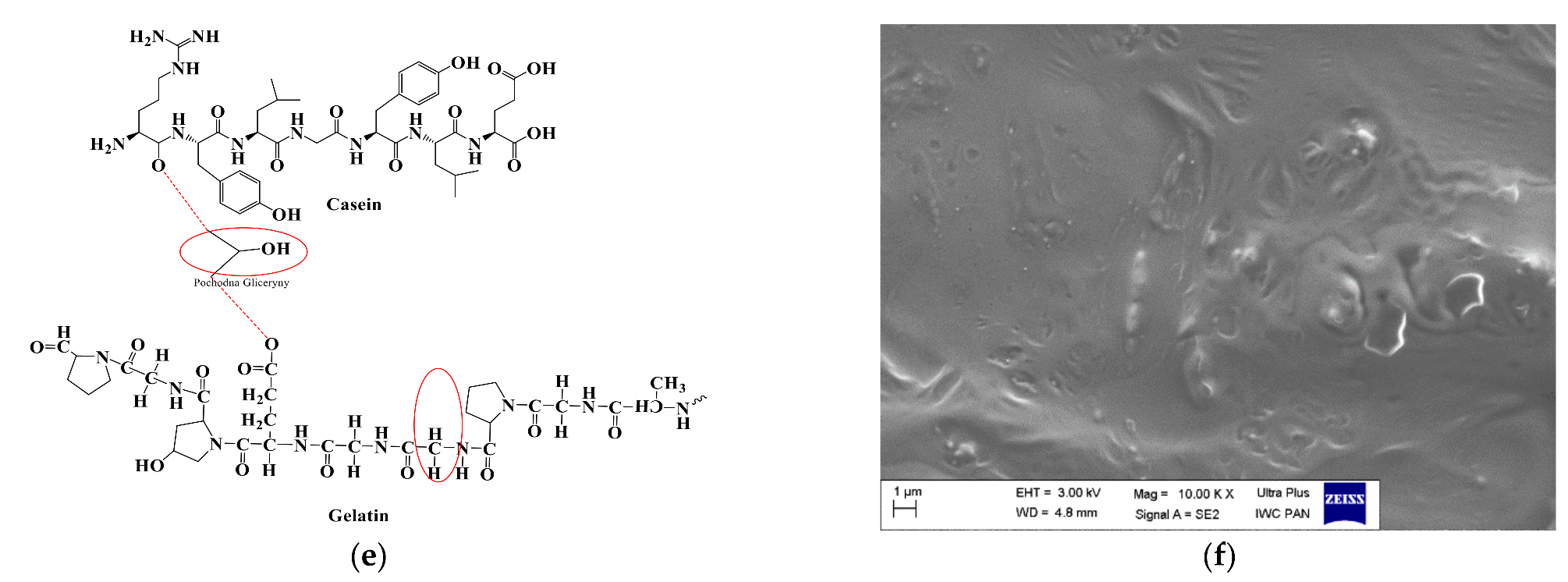 Catalysts 12 00077 g004b