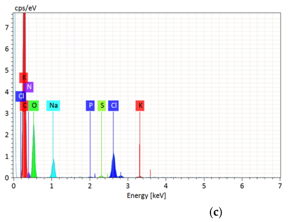 Catalysts 12 00077 g005b