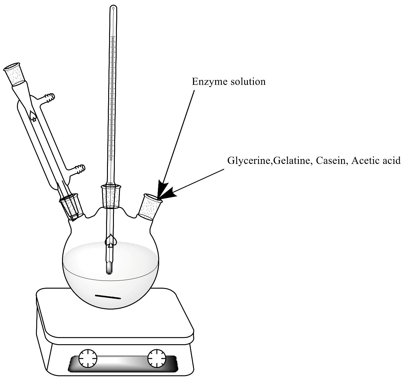 Catalysts 12 00077 g011