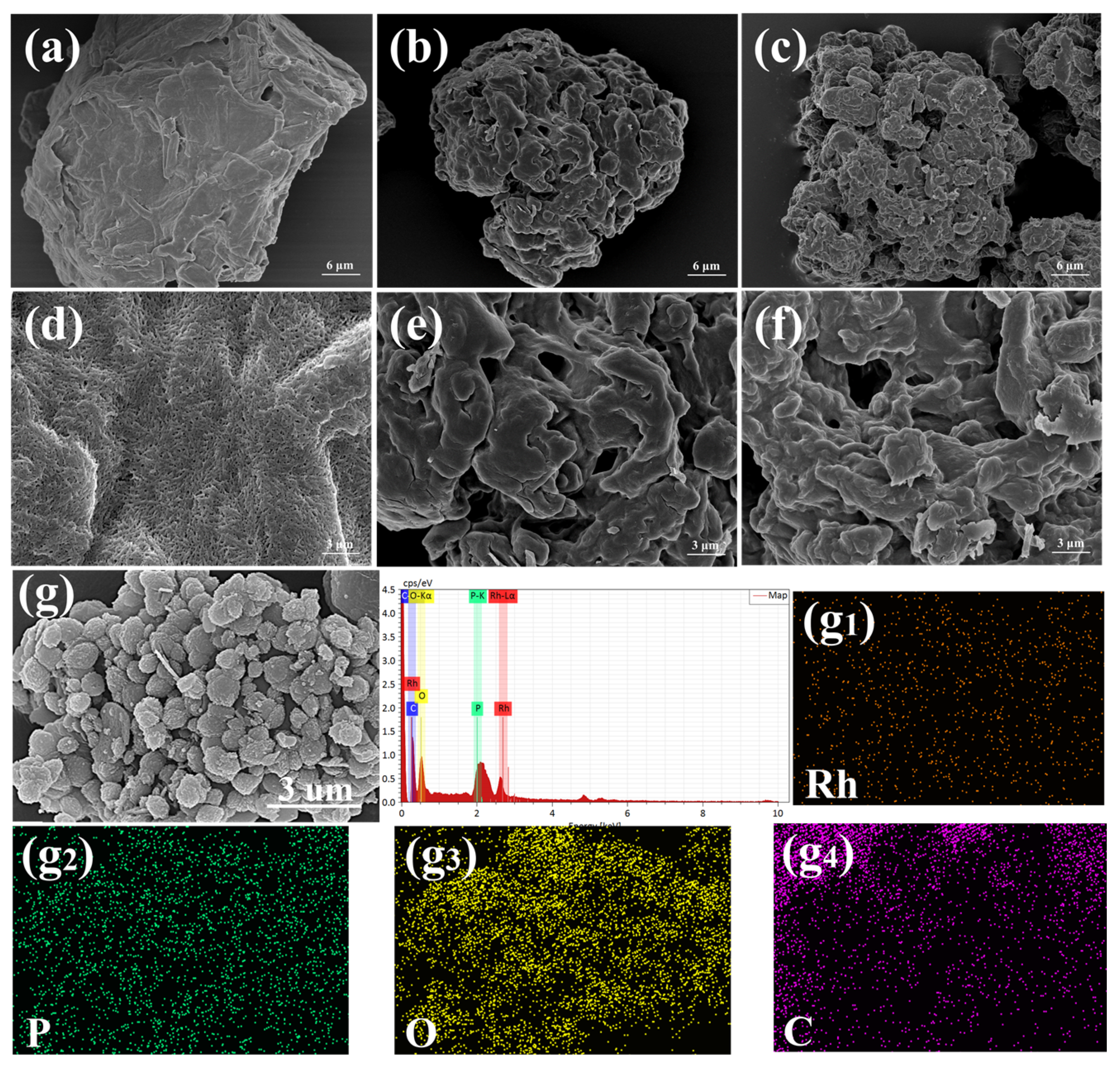 Catalysts 12 00083 g005