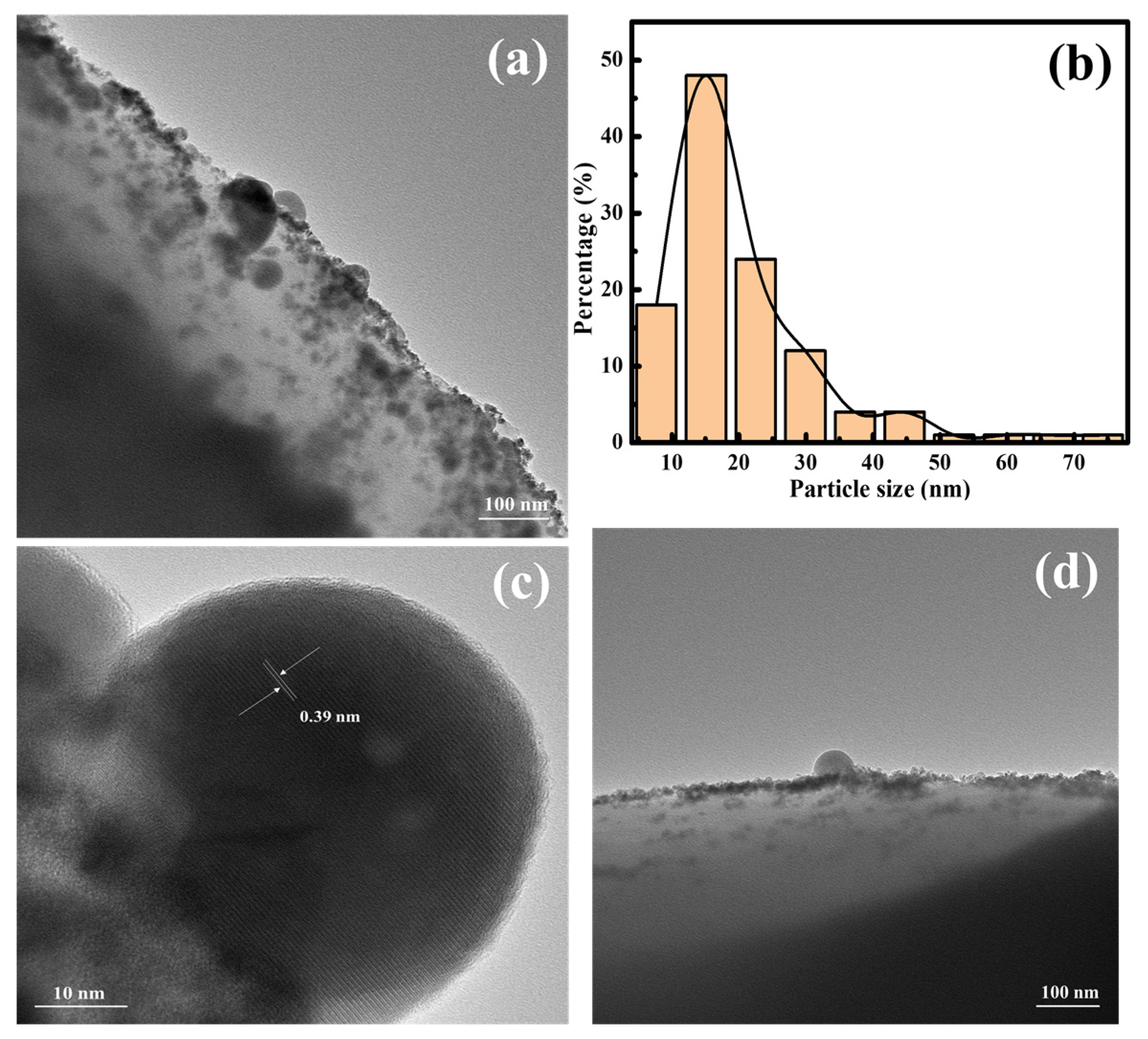 Catalysts 12 00083 g006