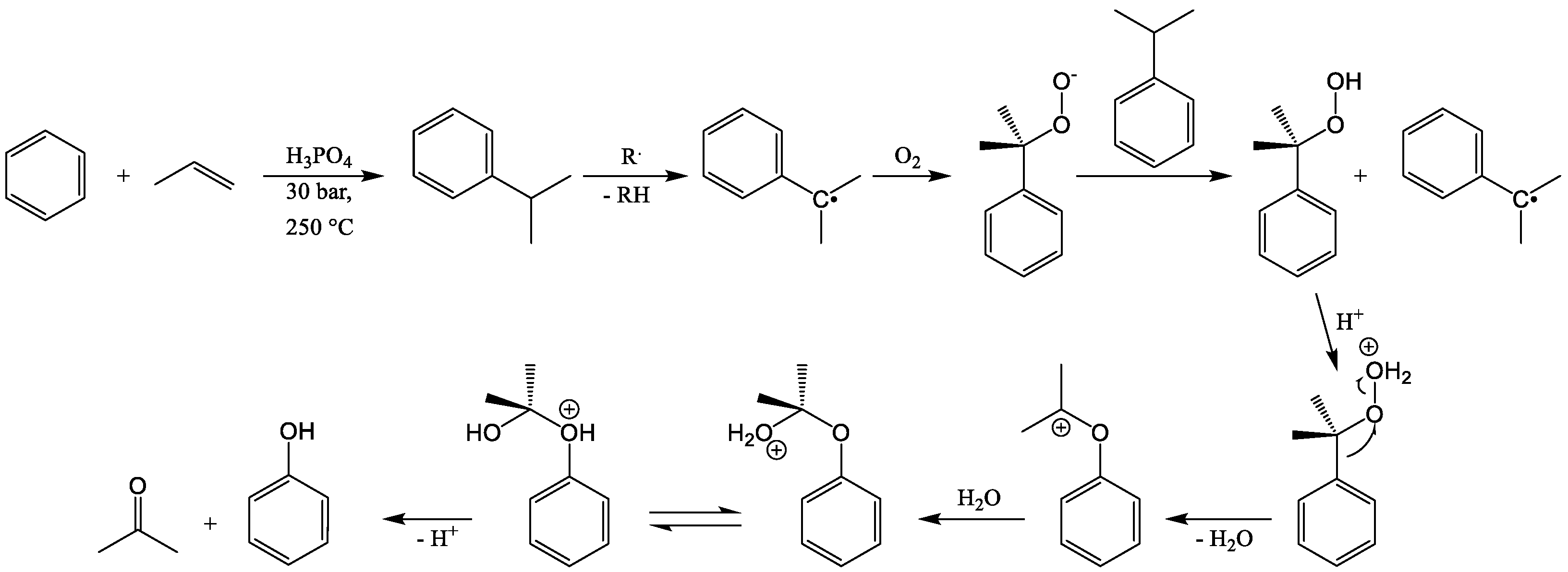 Catalysts 12 00091 g002