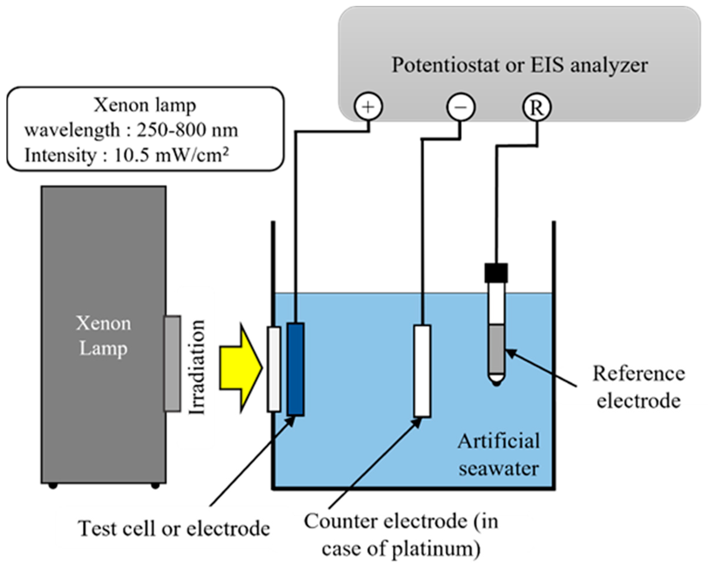 Catalysts 12 00099 g008