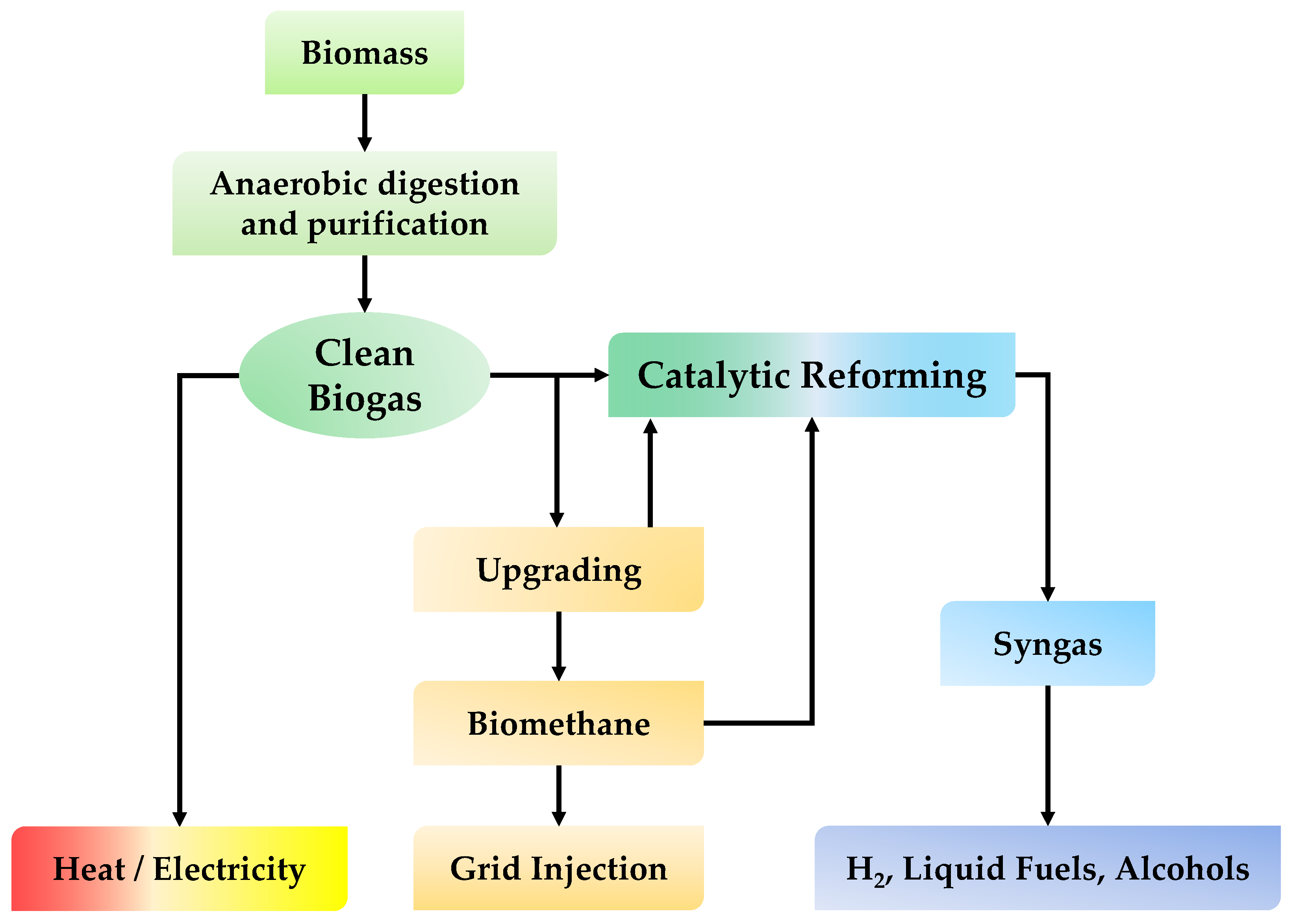 Catalysts 12 00109 g002