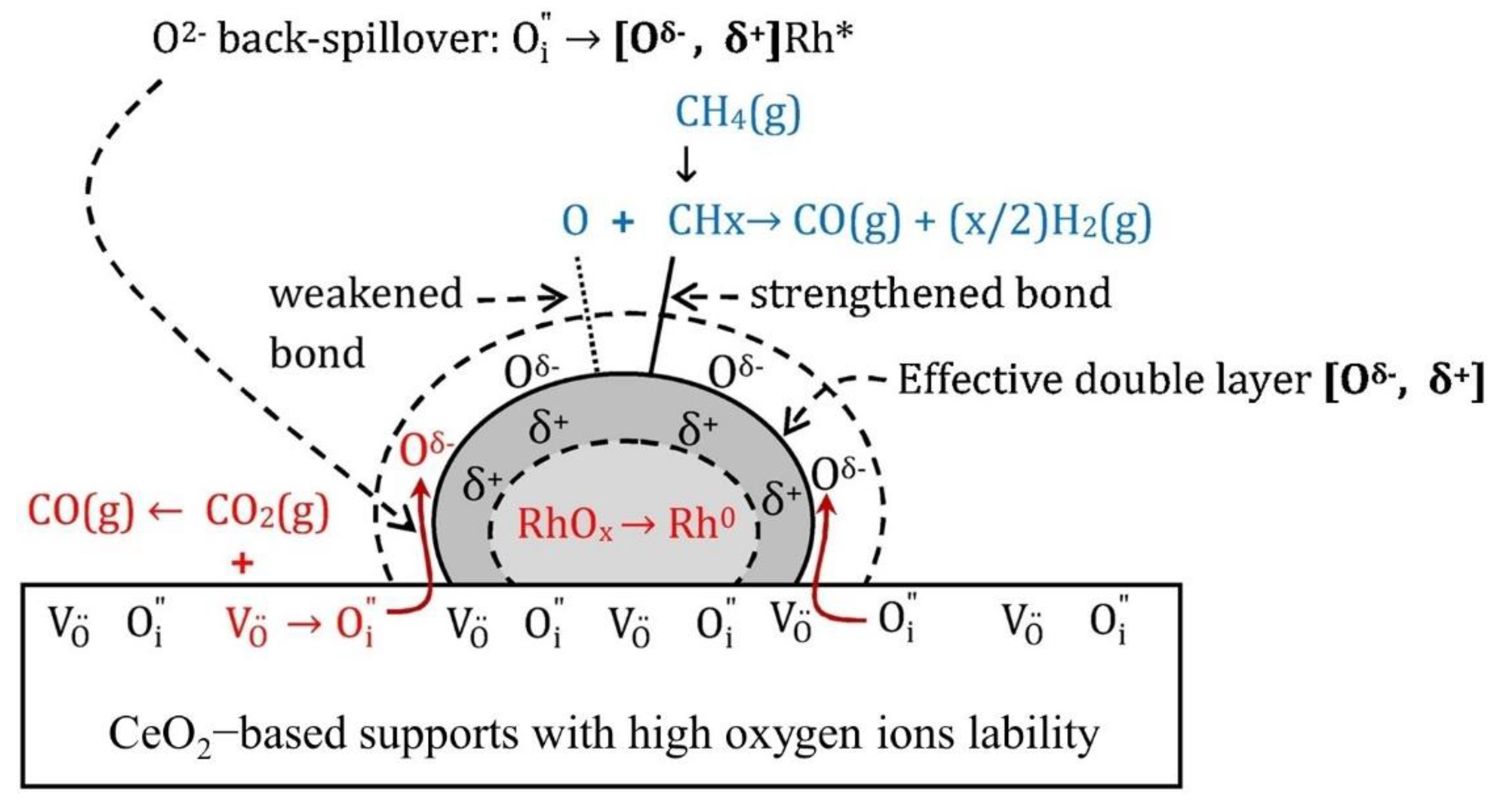 Catalysts 12 00109 g009
