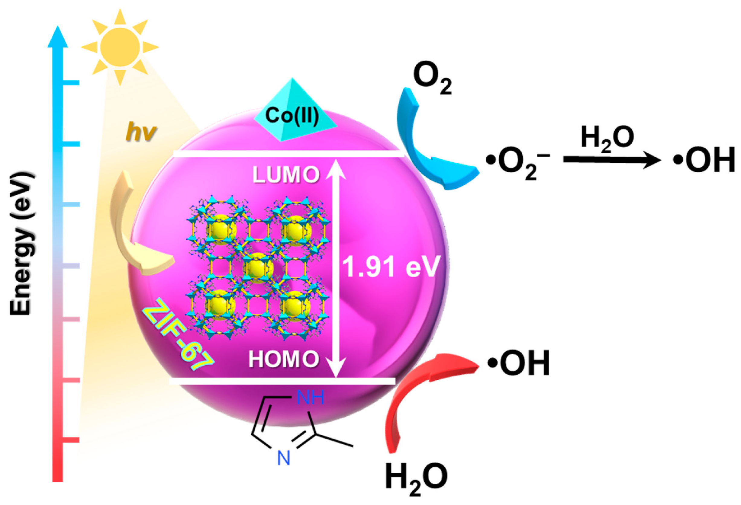 Catalysts 12 00110 g002