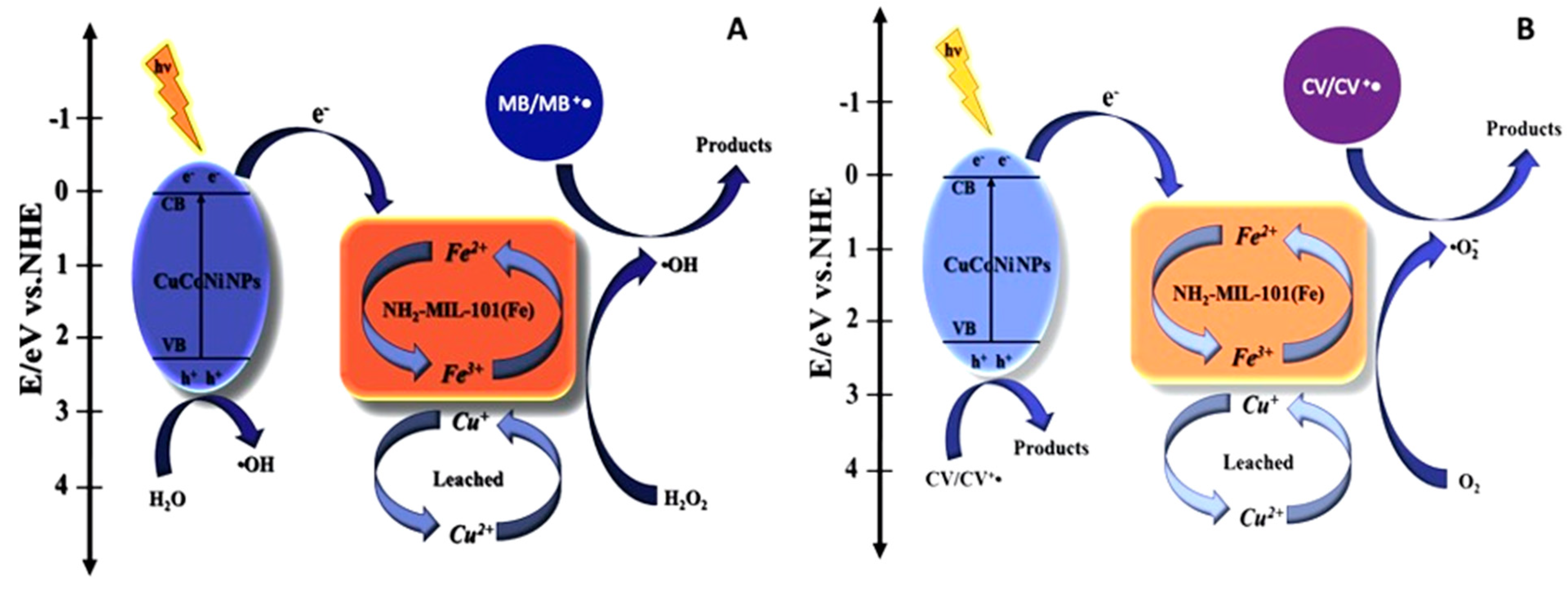 Catalysts 12 00110 g004