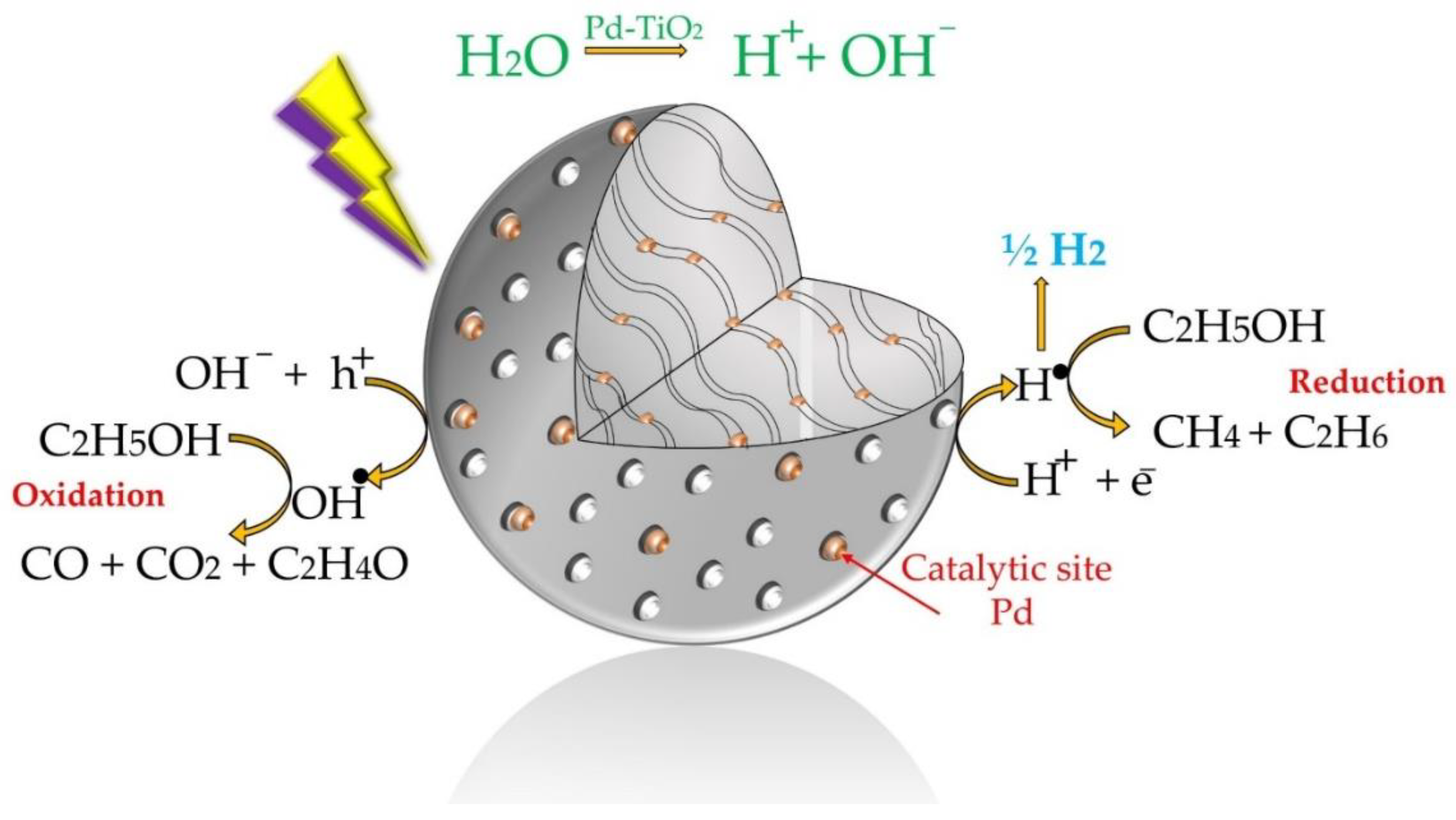 Catalysts 12 00113 g001