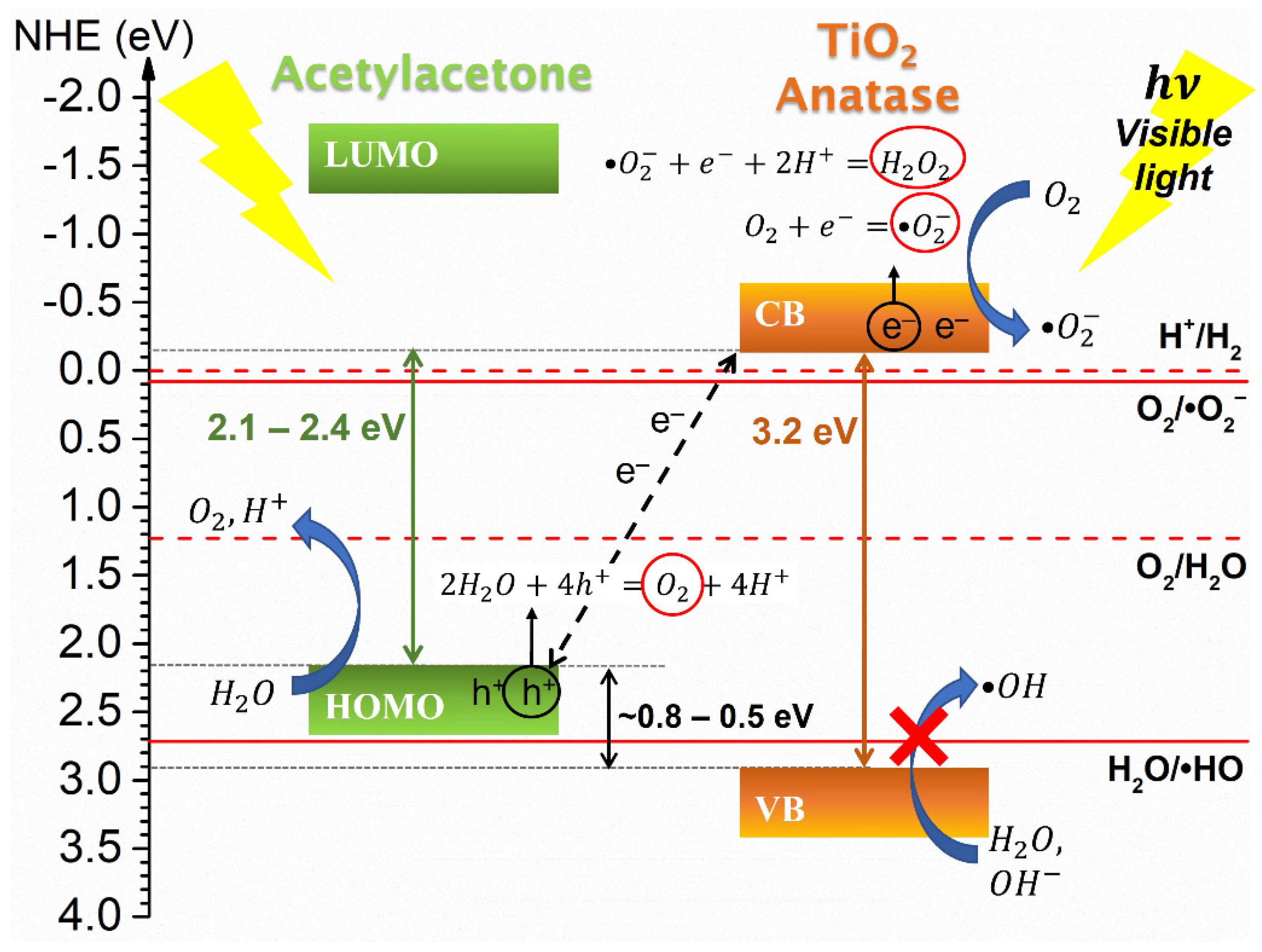 Catalysts 12 00116 g006
