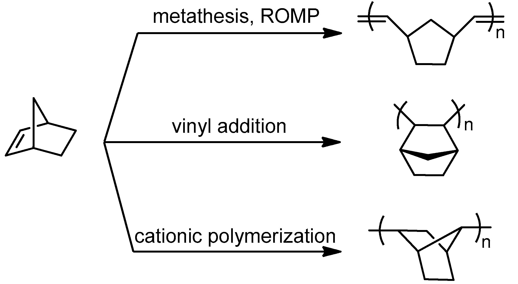 Catalysts 12 00119 sch003