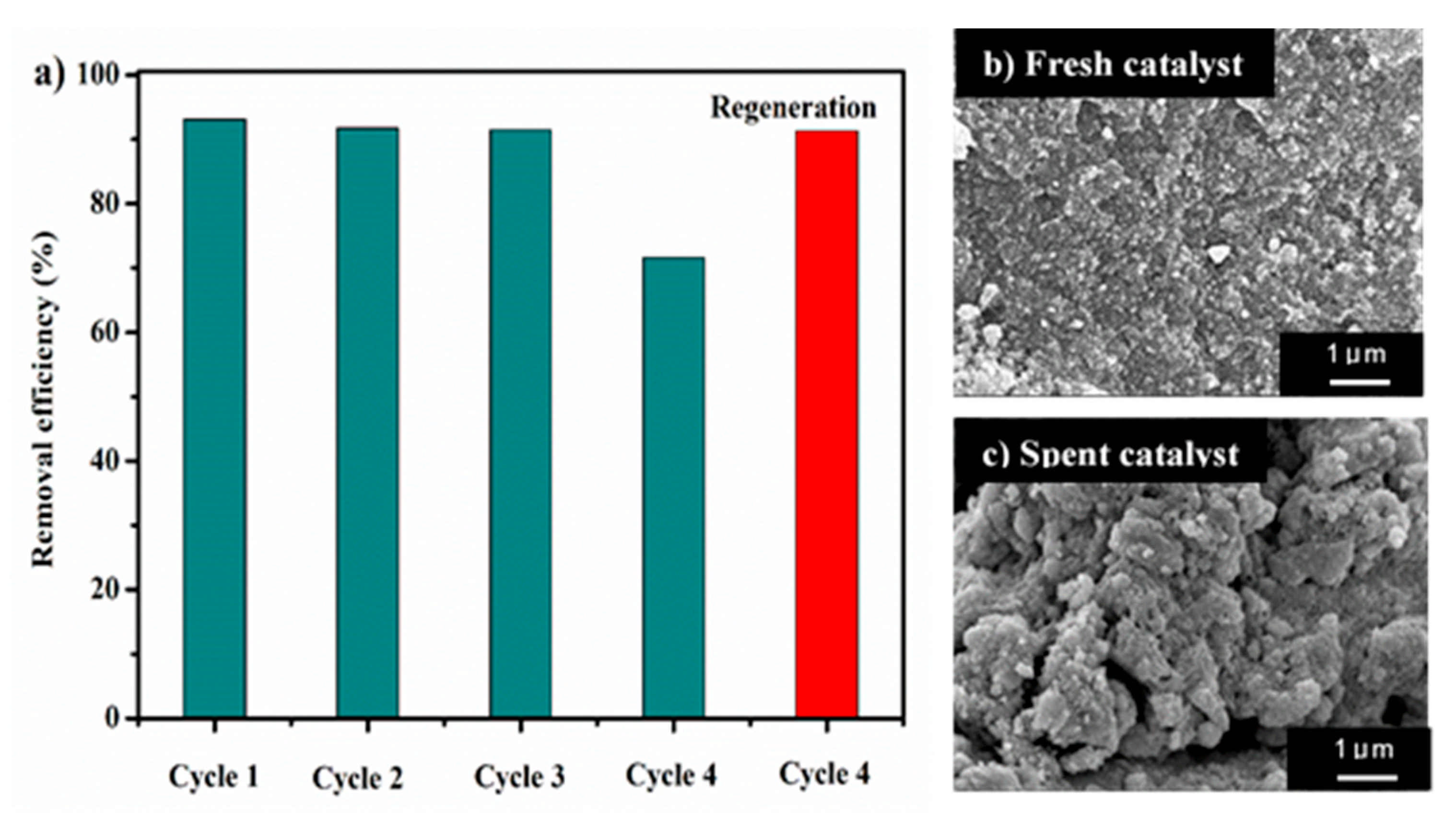 Catalysts 12 00120 g006