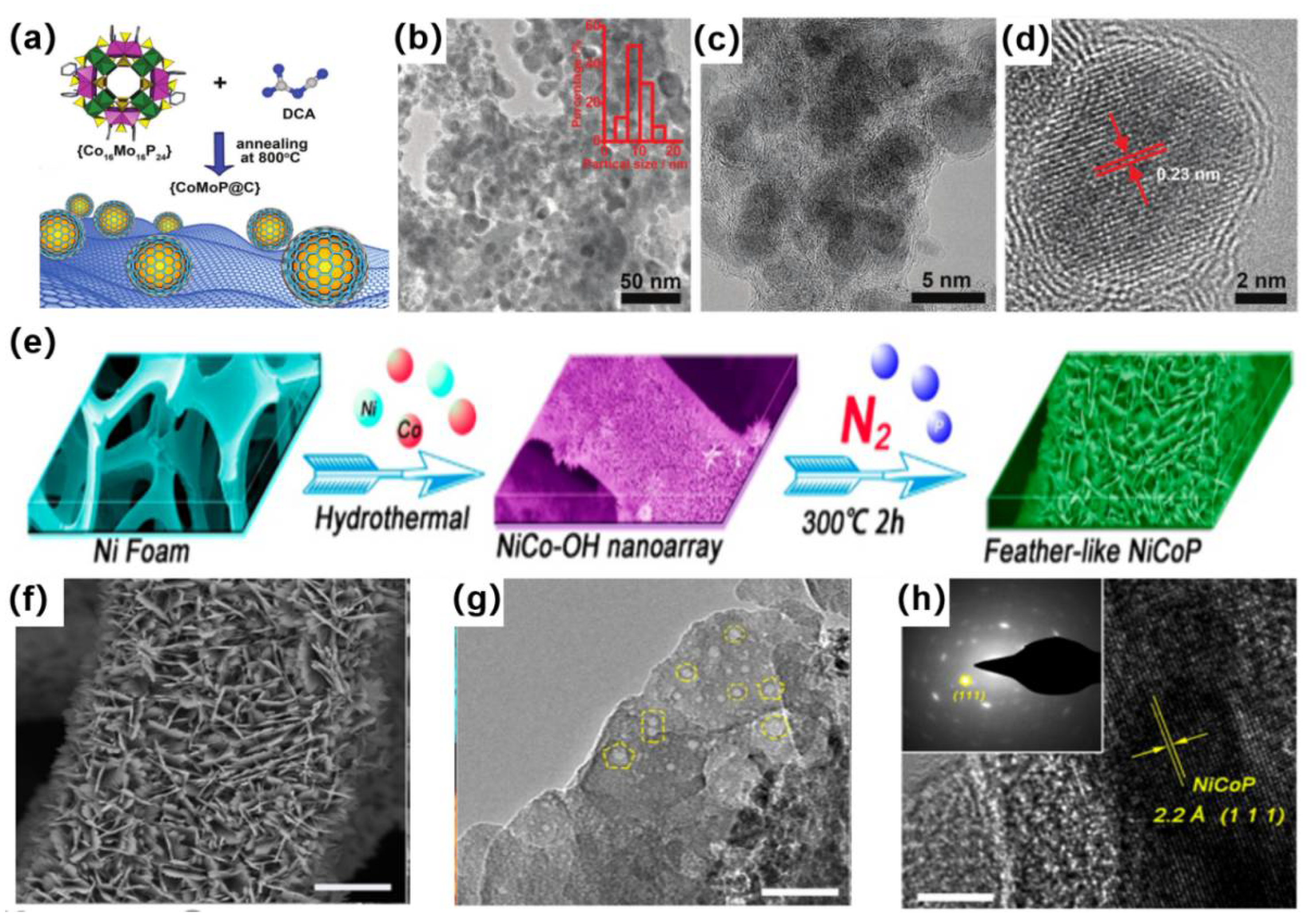 Catalysts 12 00123 g007