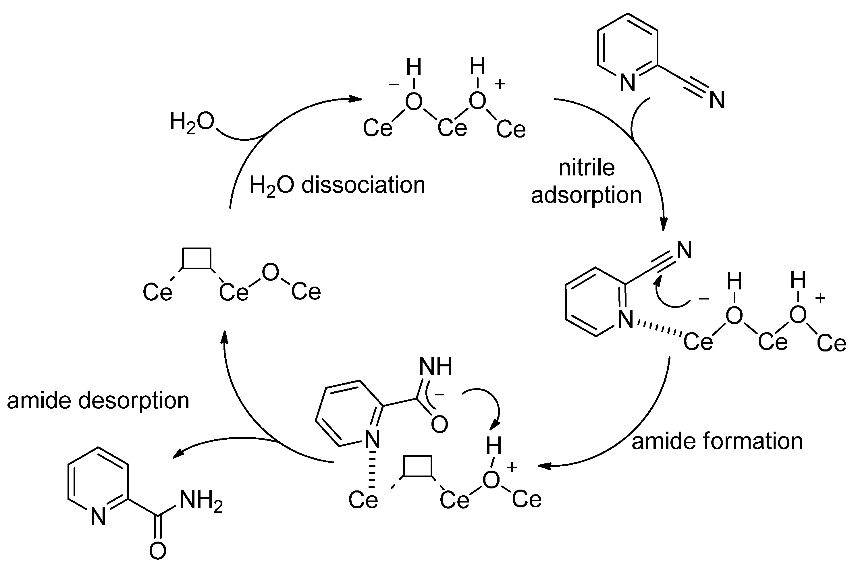 Catalysts 12 00124 sch004