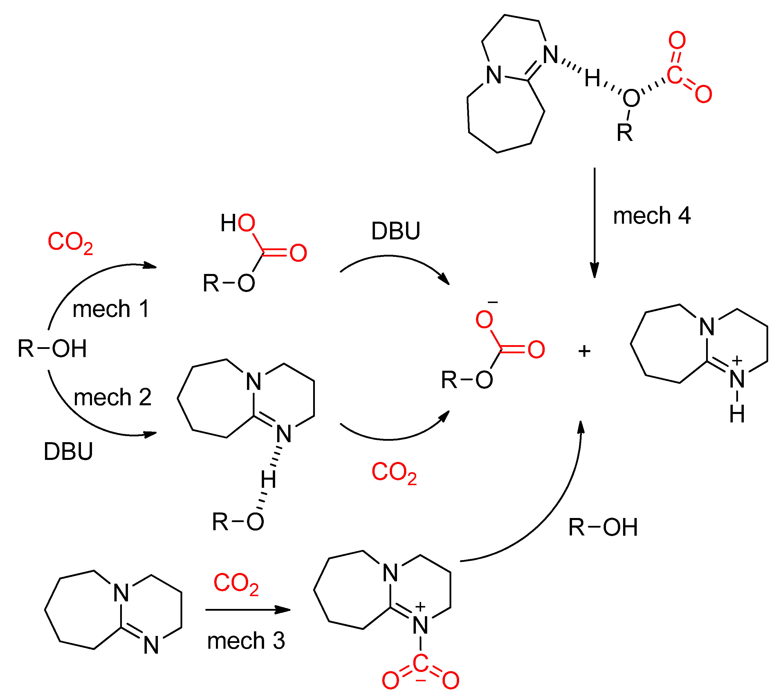 Catalysts 12 00124 sch006