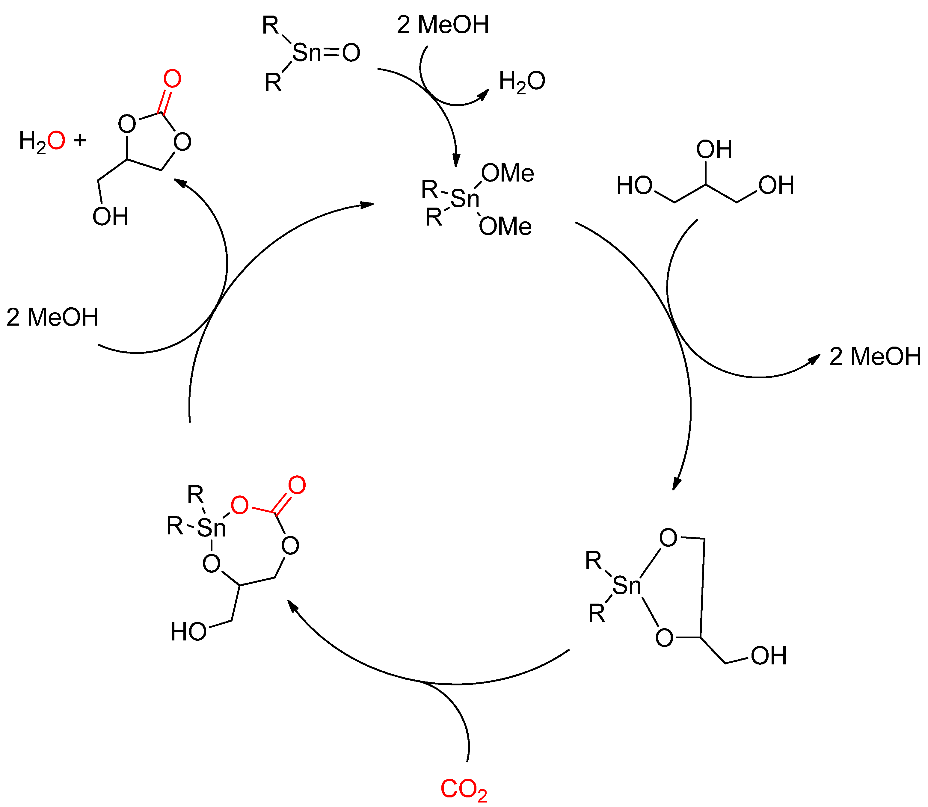 Catalysts 12 00124 sch011