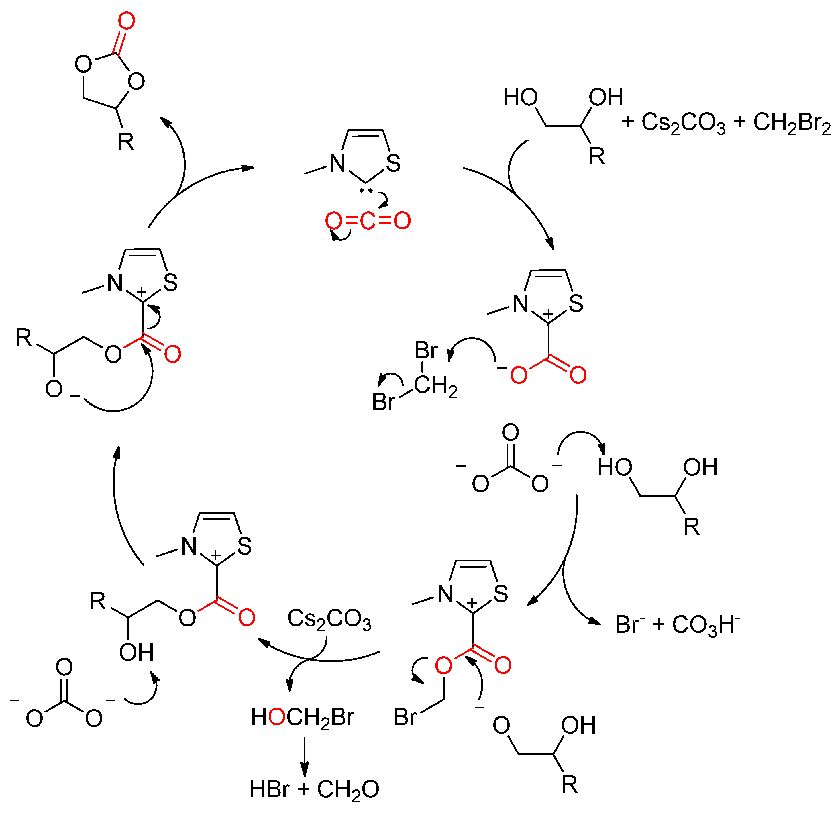 Catalysts 12 00124 sch015