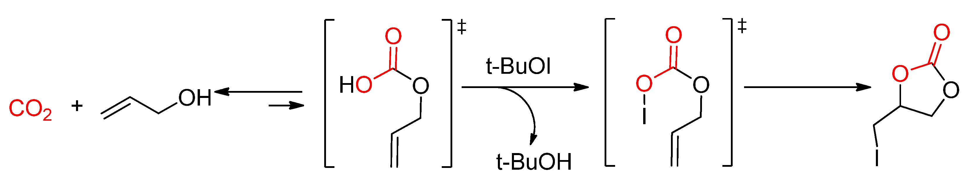 Catalysts 12 00124 sch019