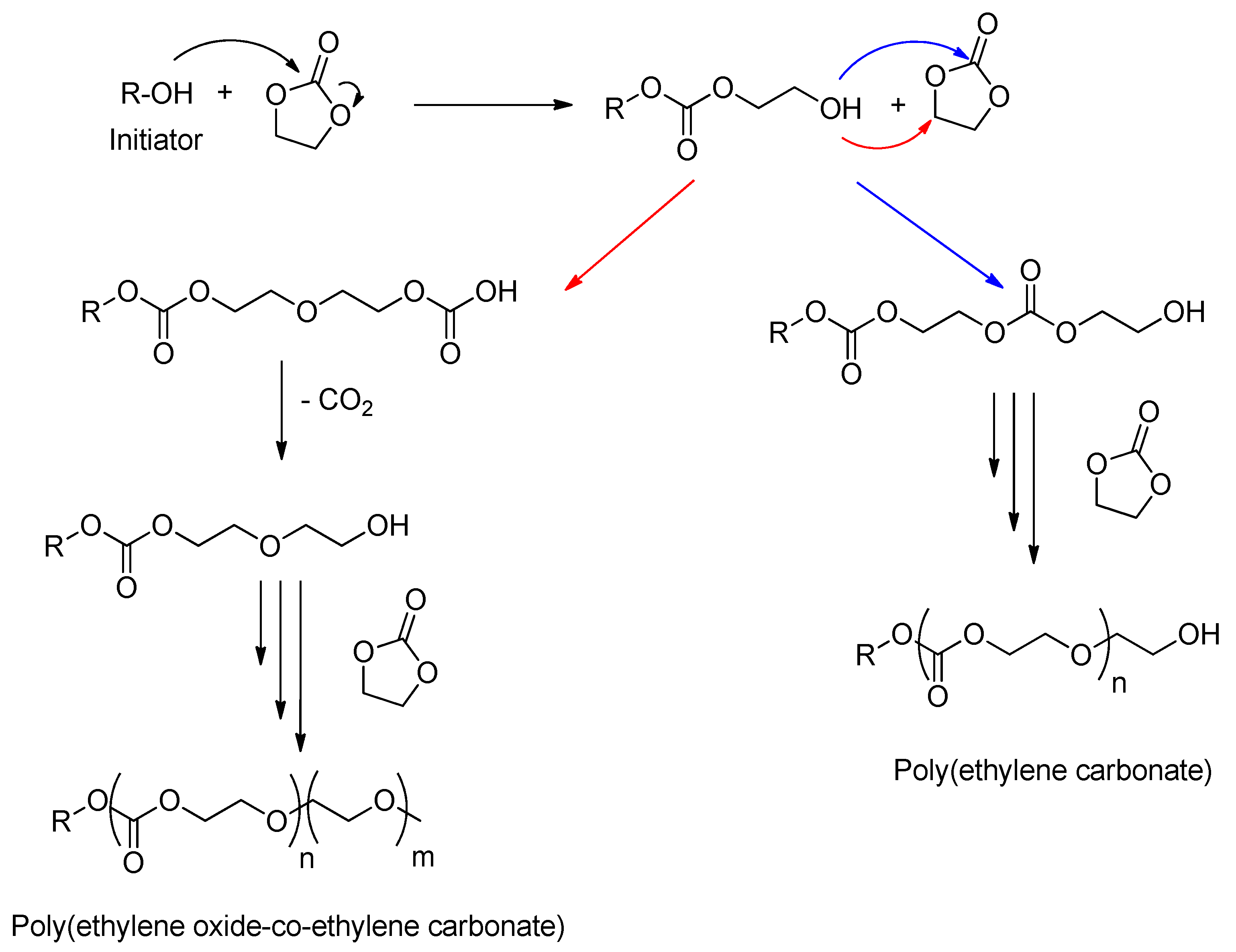 Catalysts 12 00124 sch028