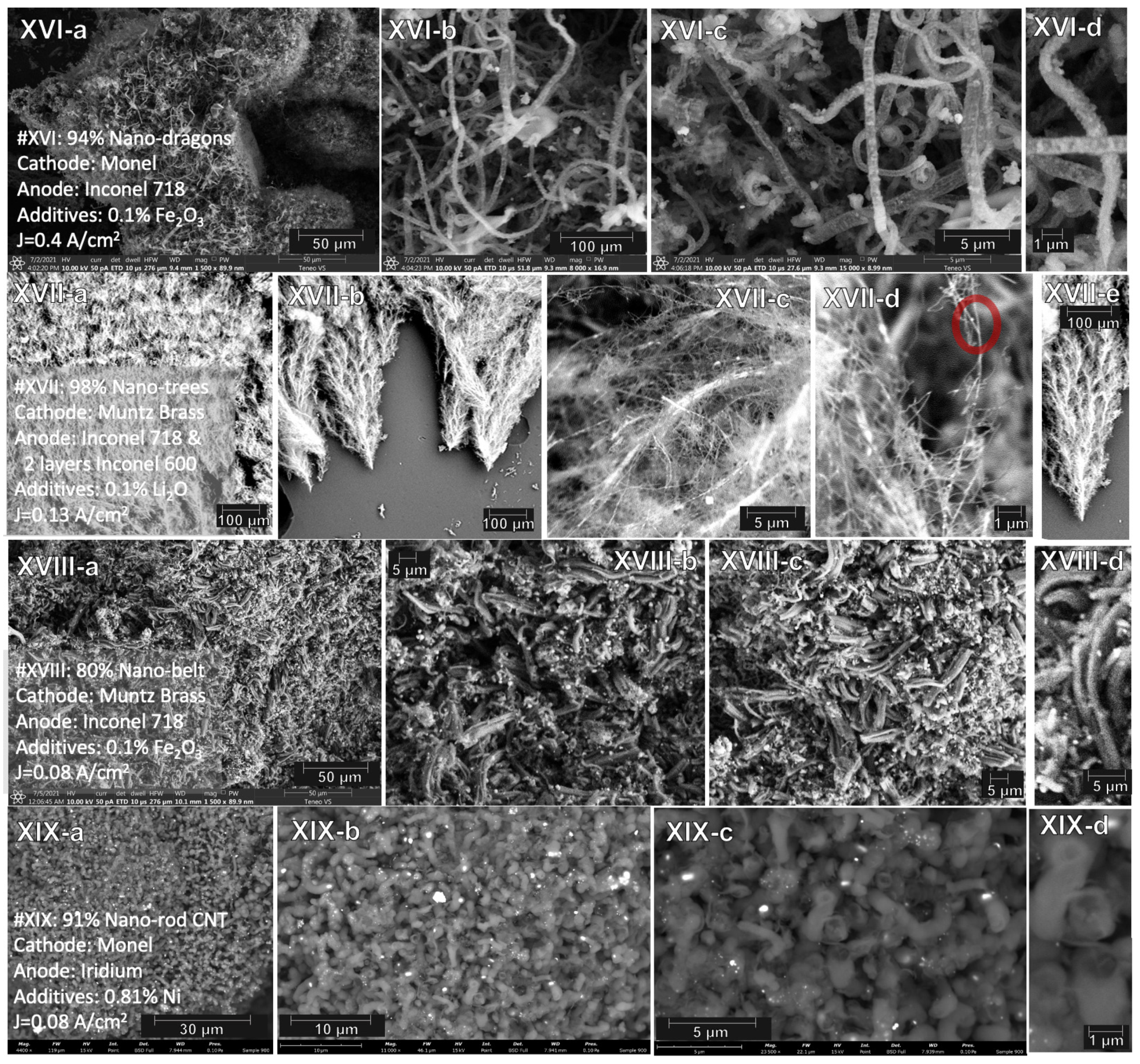 Catalysts 12 00125 g008
